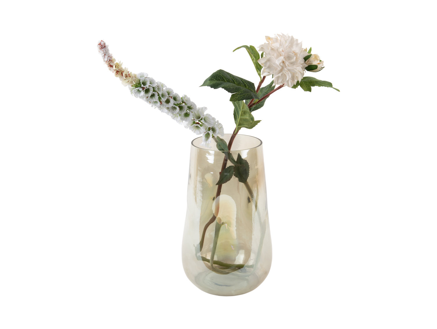Vaas Luster Organic Groot