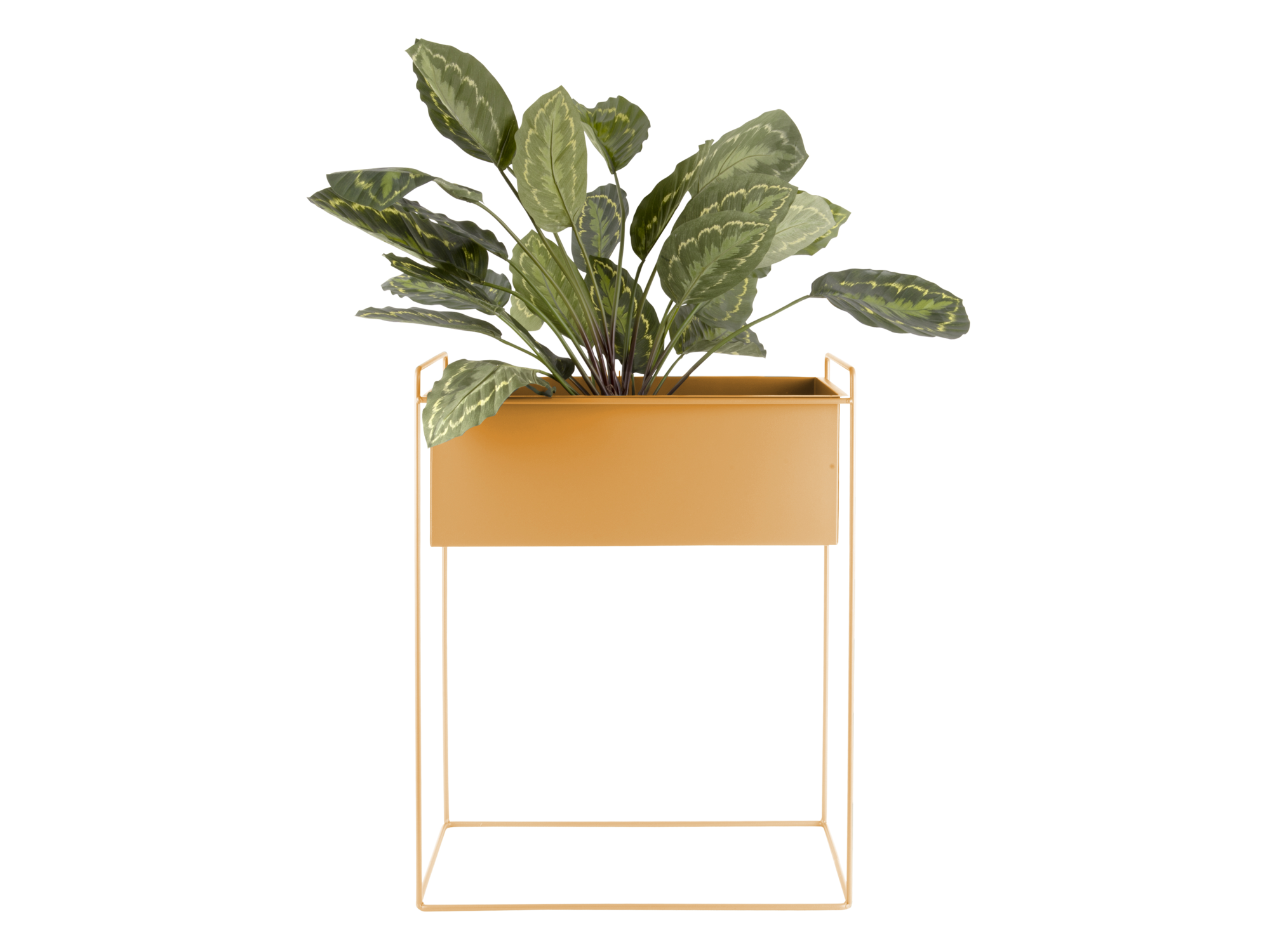 Set van 2 plantenpotten Essence - Ijzer