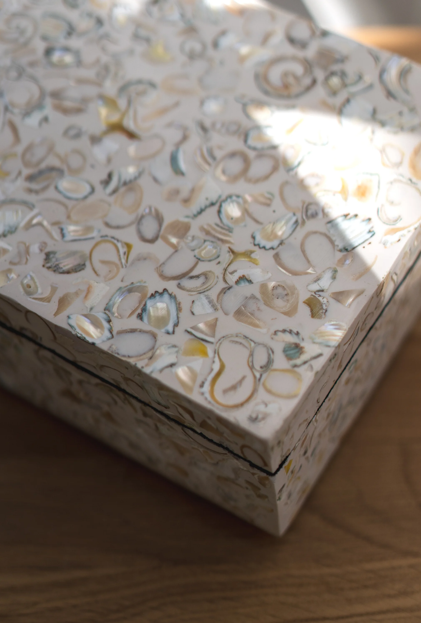 Opbergbox Shell Treasure