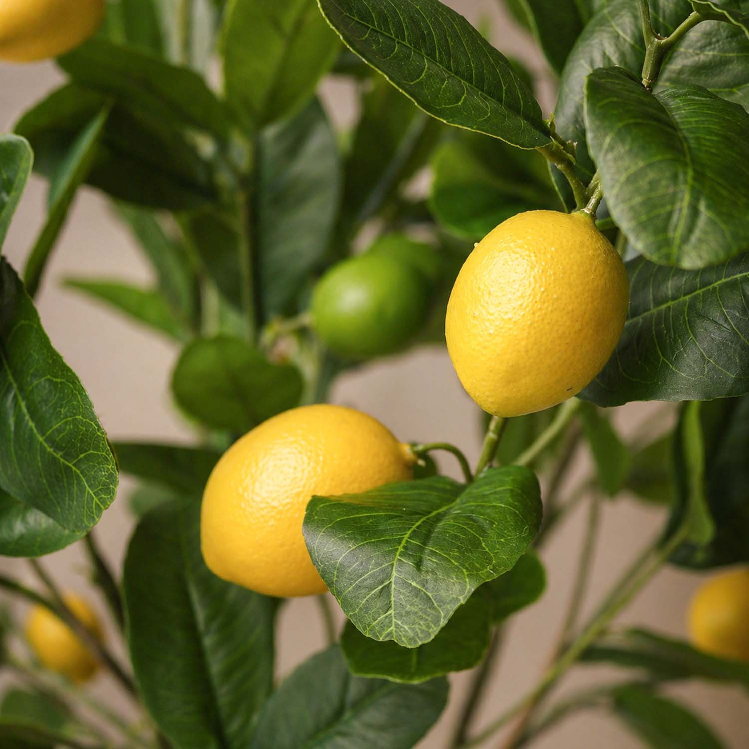 Zijden boeket Lemon Zest