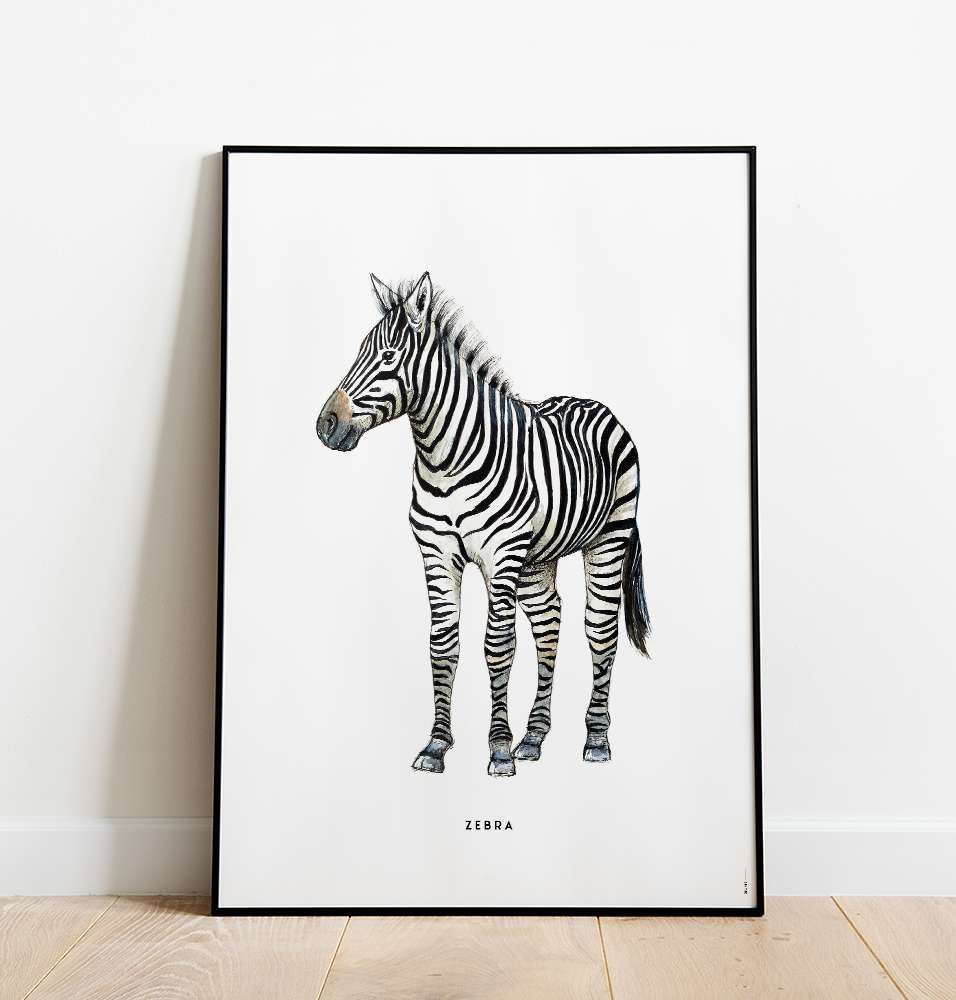 BINTJE poster zebra