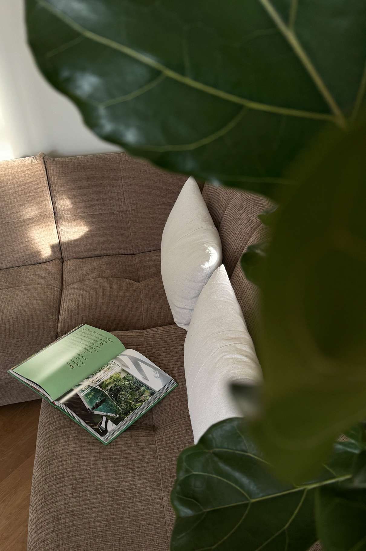 Planten-bank