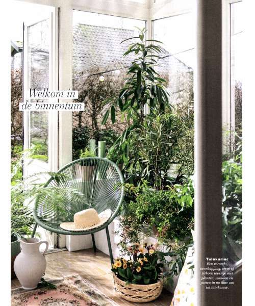 Magazine Libelle