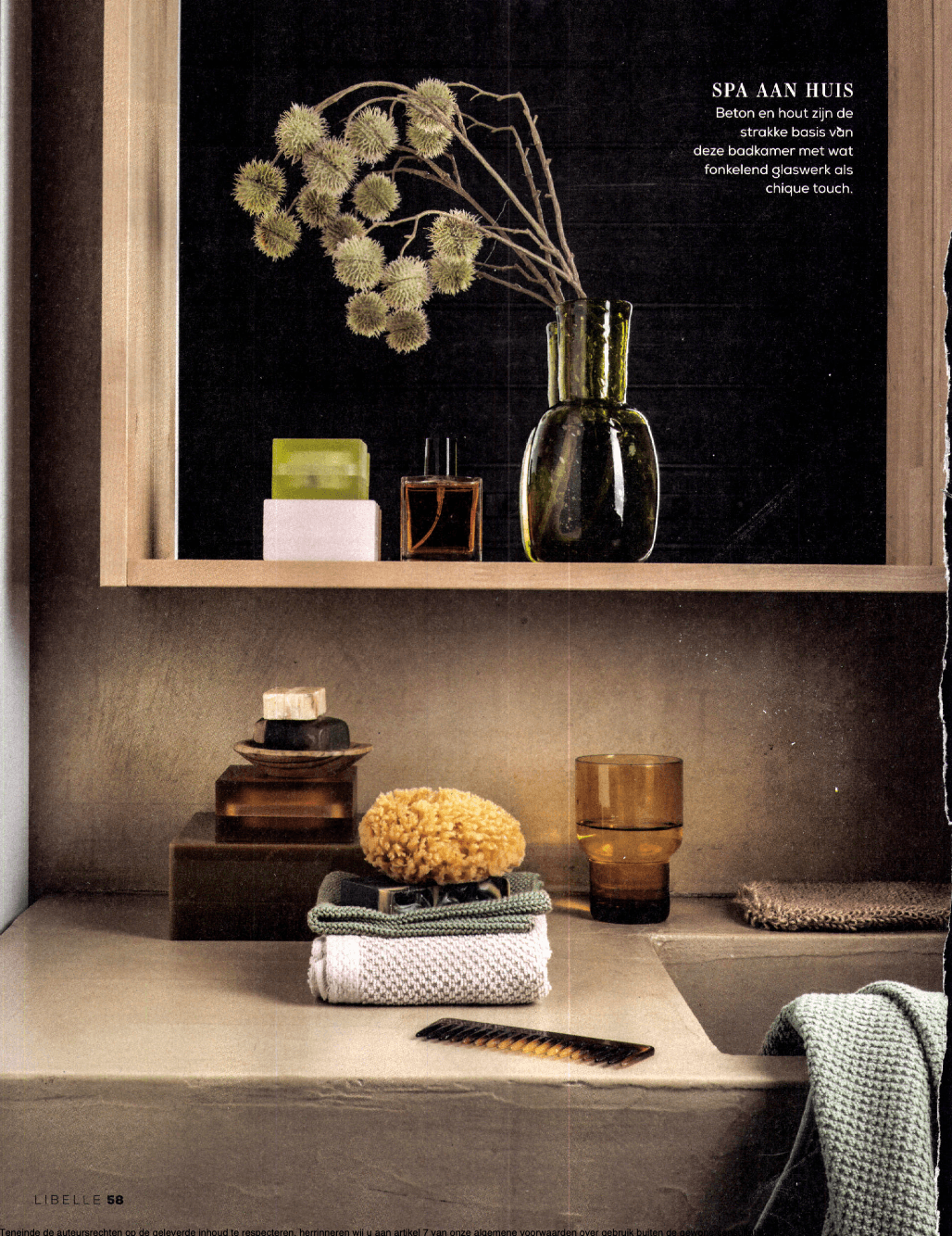 Magazine Libelle