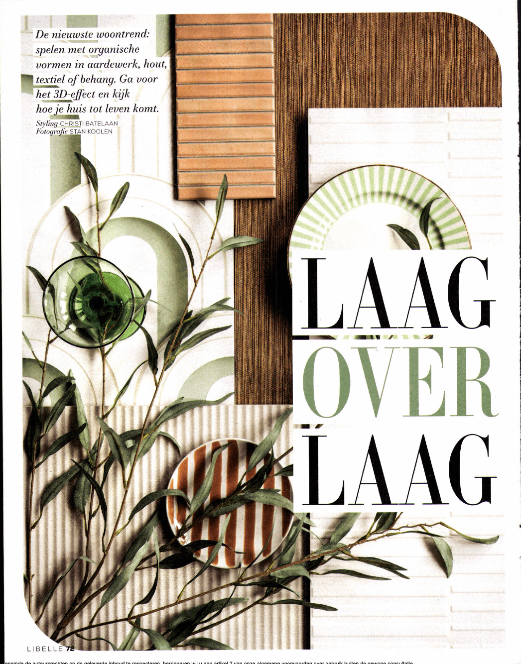 Magazine Libelle