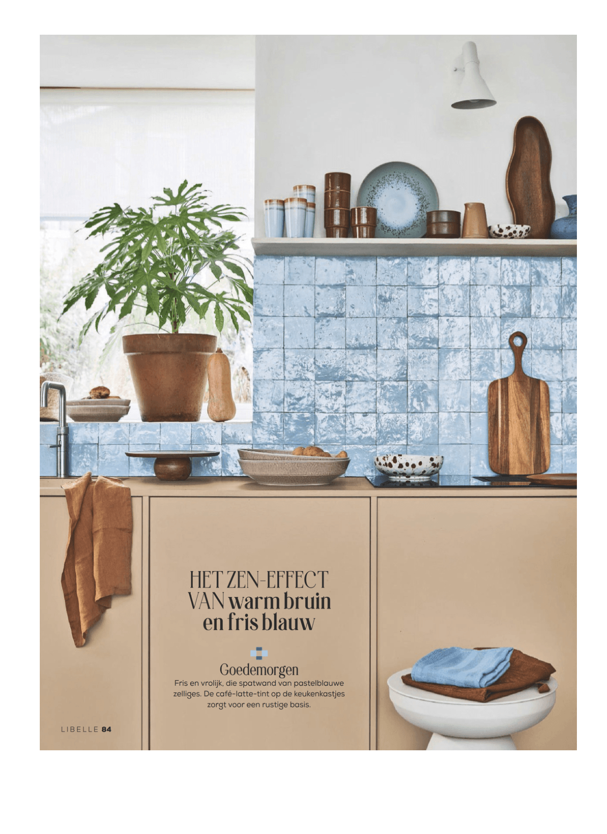 Magazine Libelle