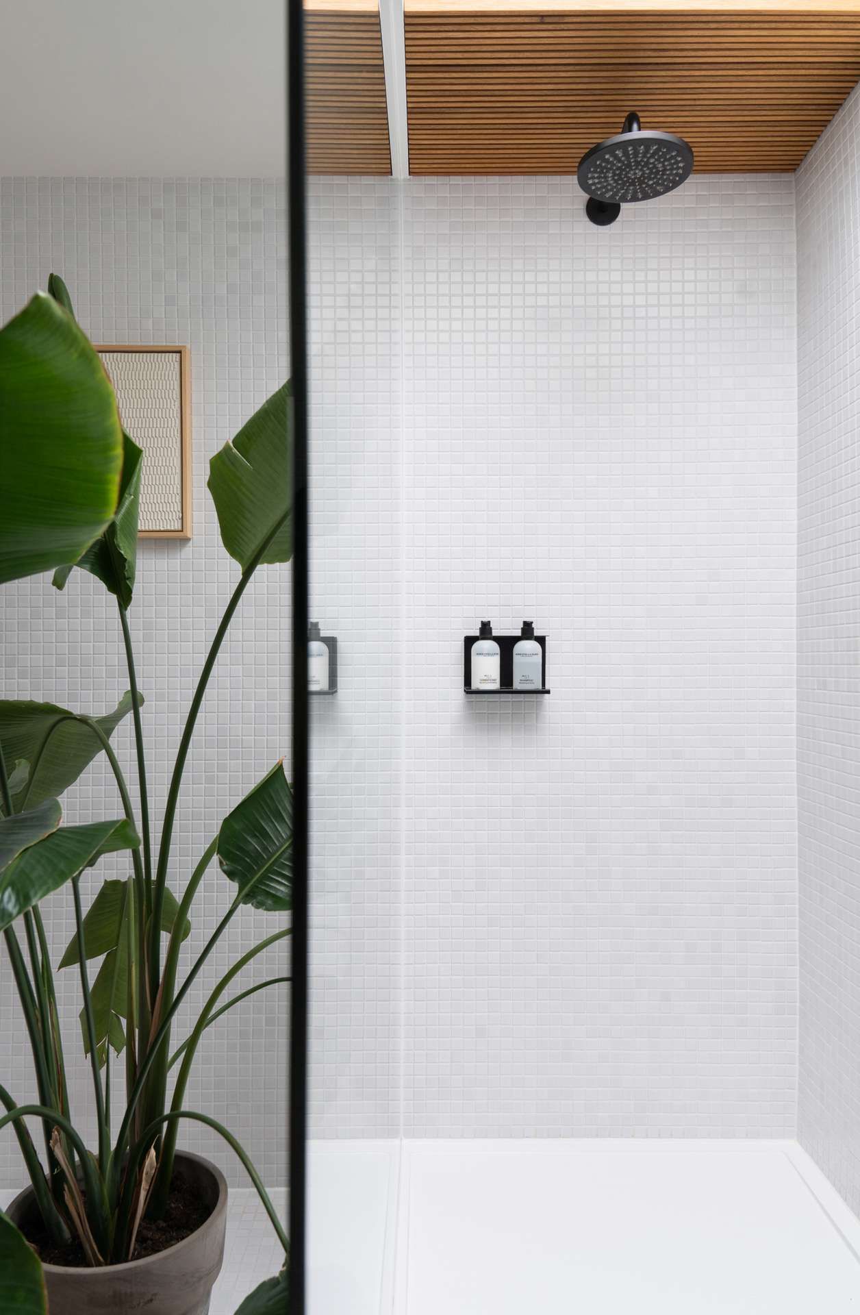 Binnenkijken-Heerenhuisch douche met plant