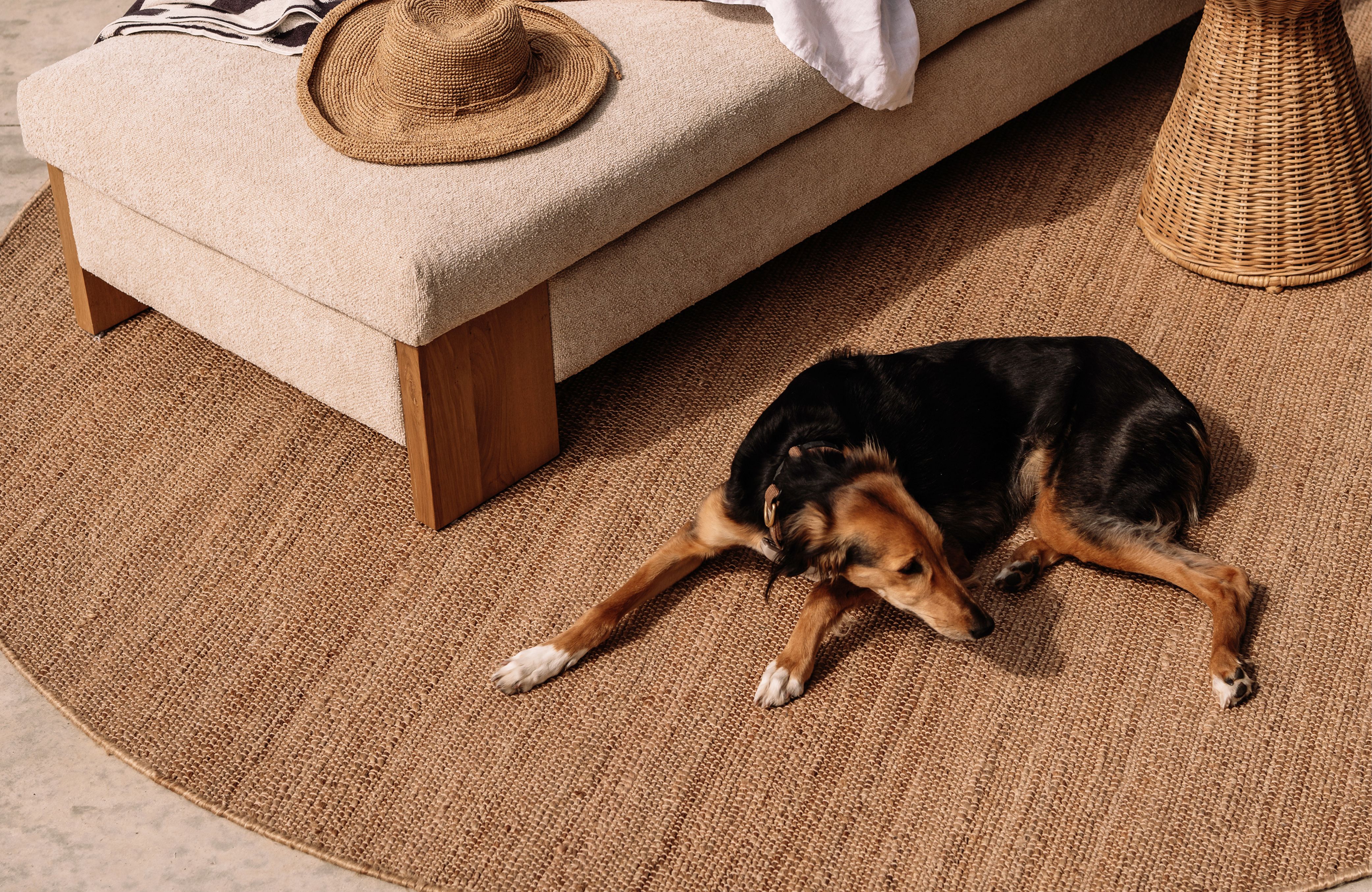 hond ligt op rond jute kleed