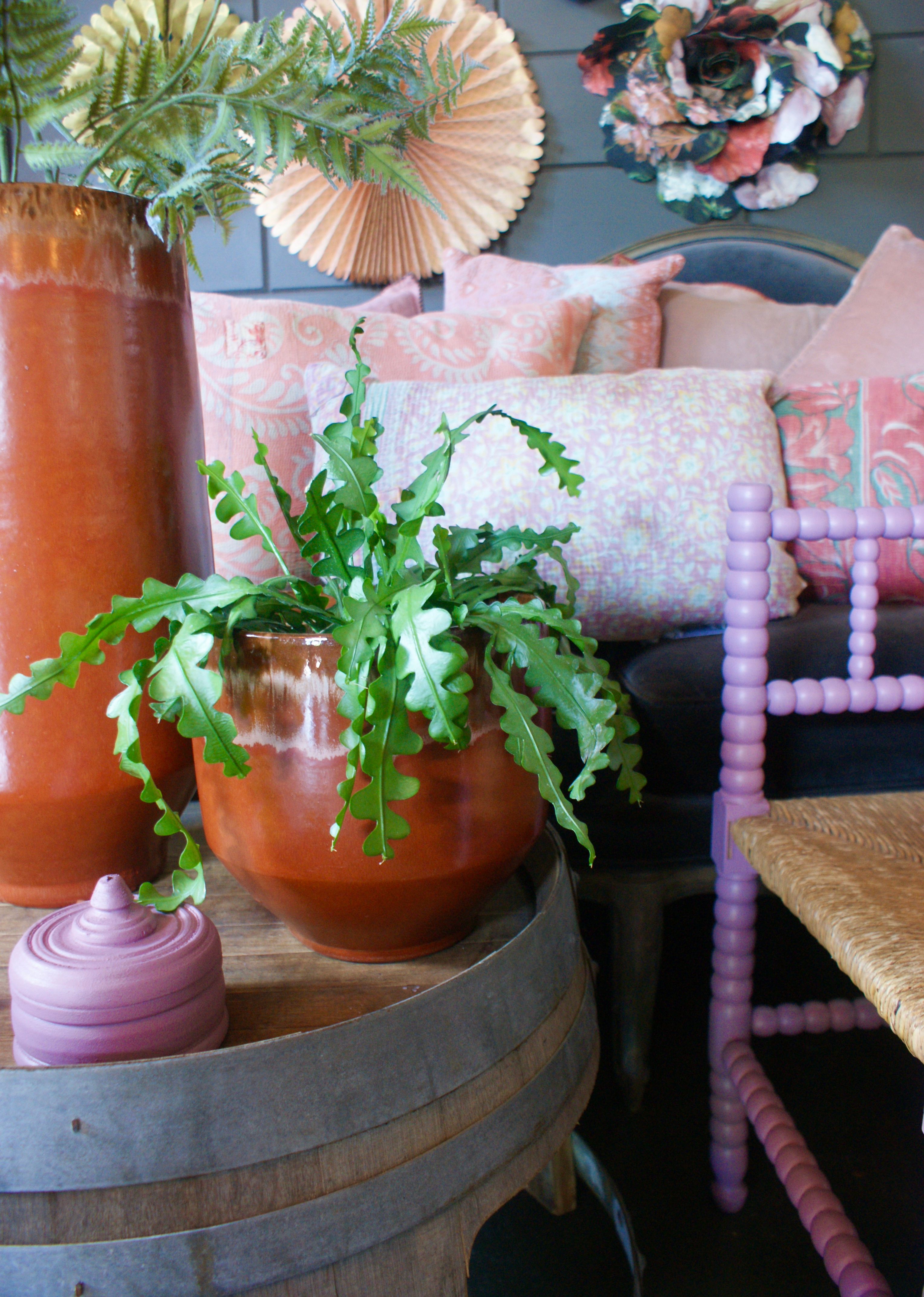 Plant in pot met lichtkleurige achtergrond