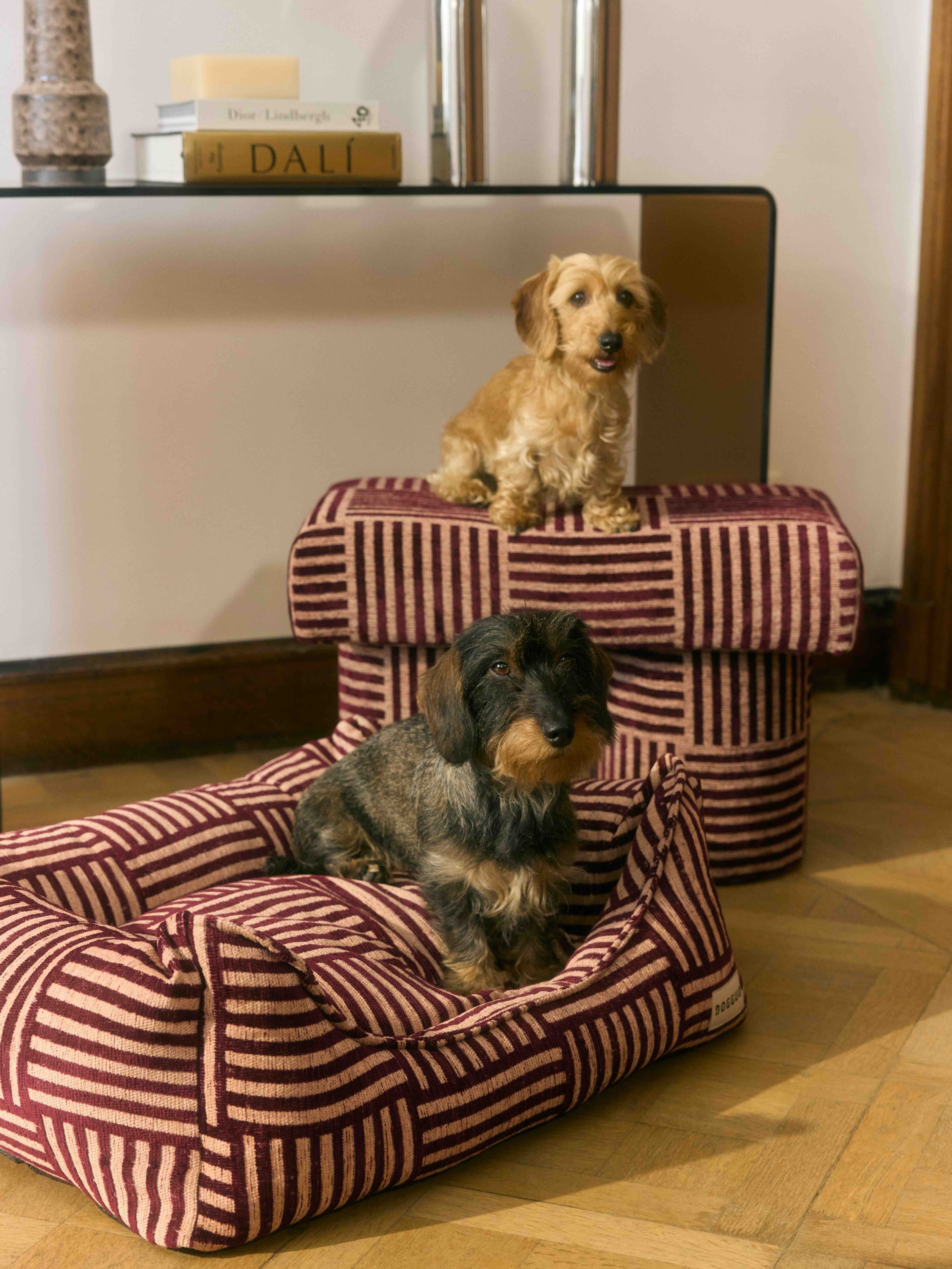 Honden op poef en hondenmand