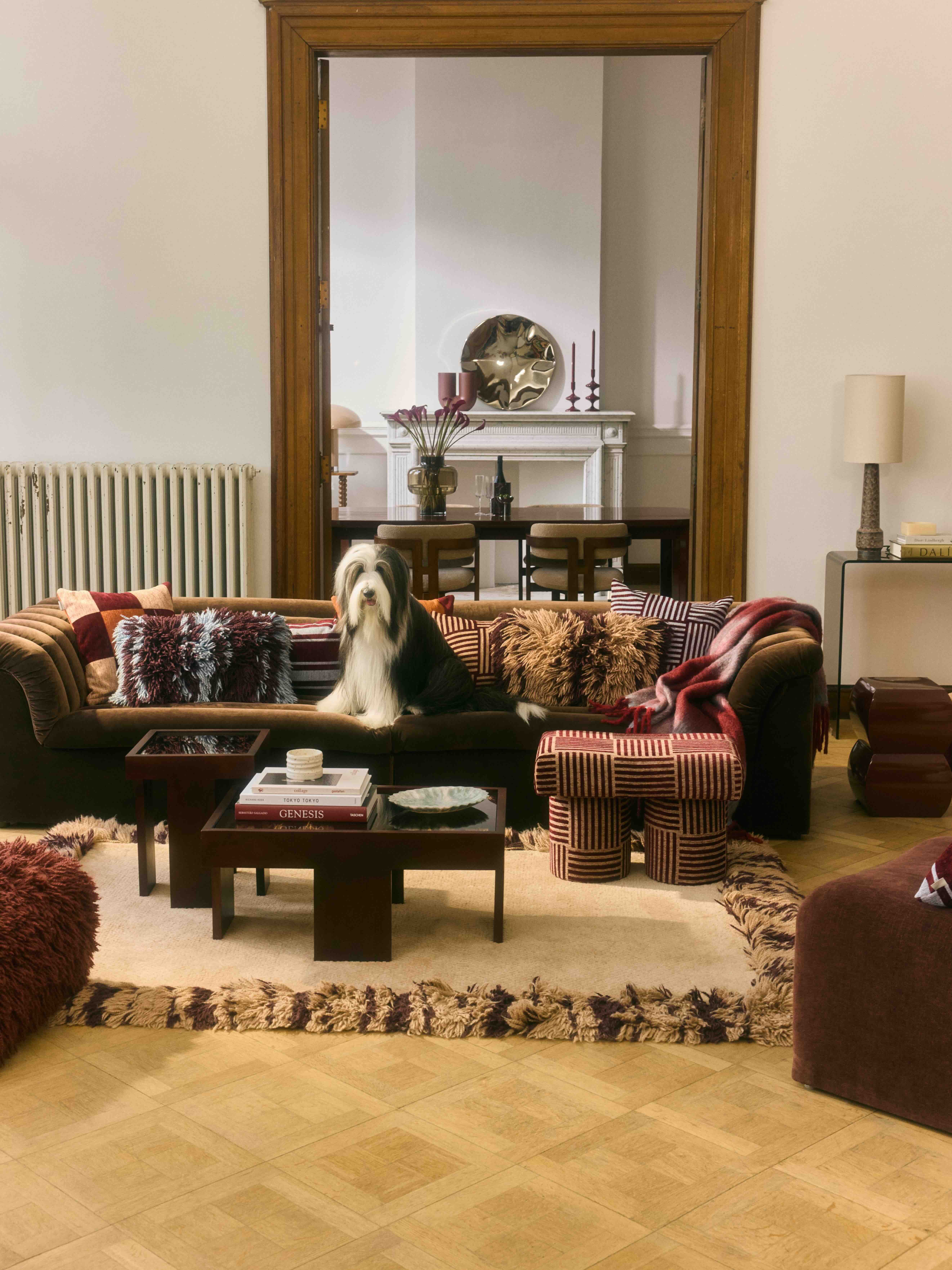 Hond zit op bank in woonkamer