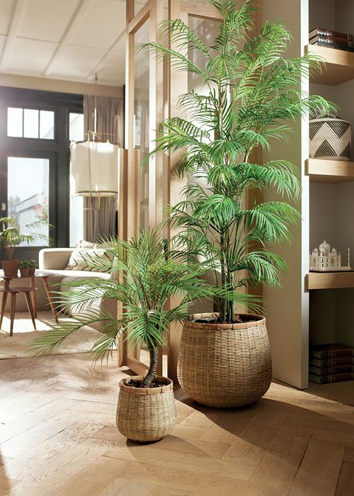 FloraWorks planten