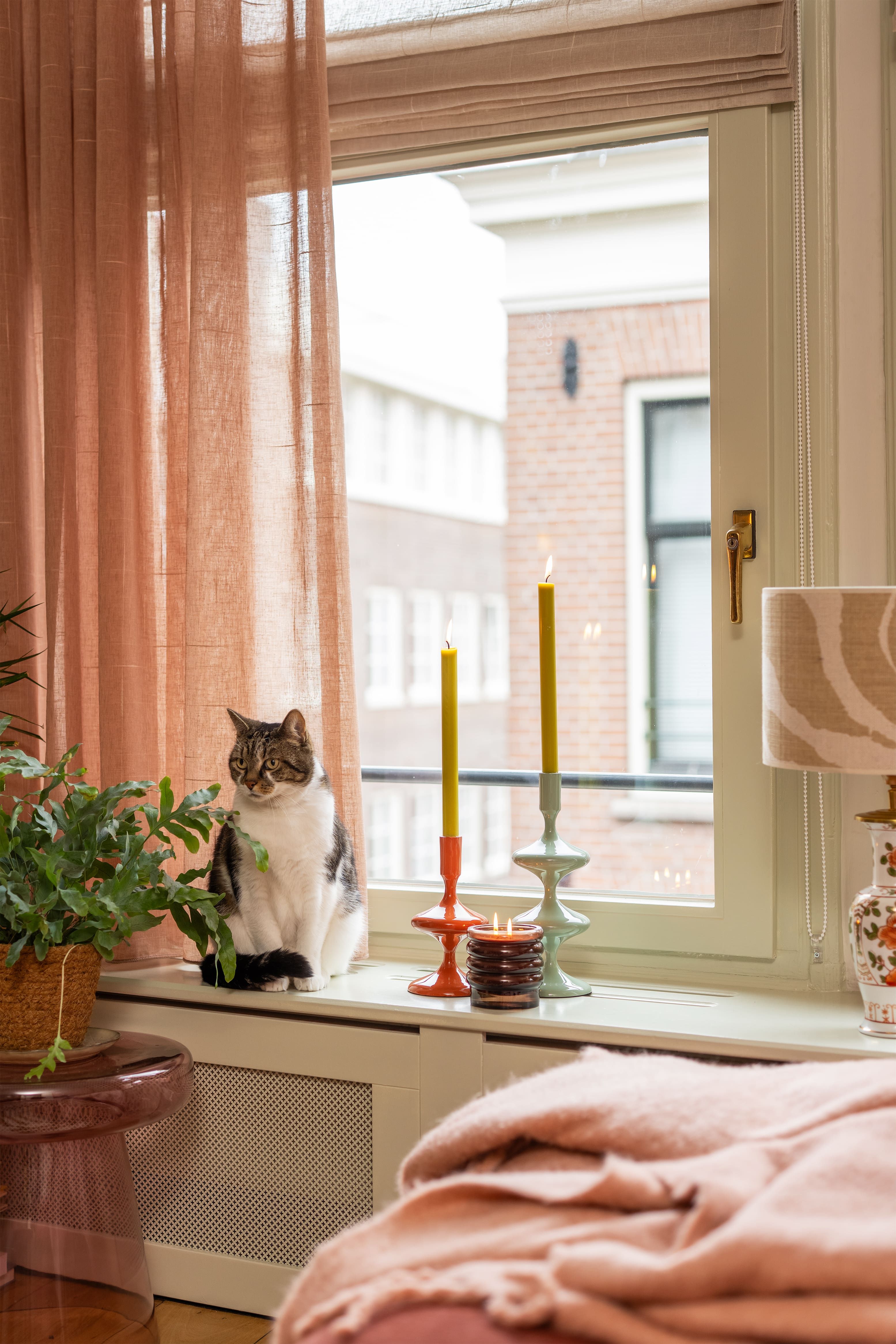 Kat in vensterbank met kandelaren