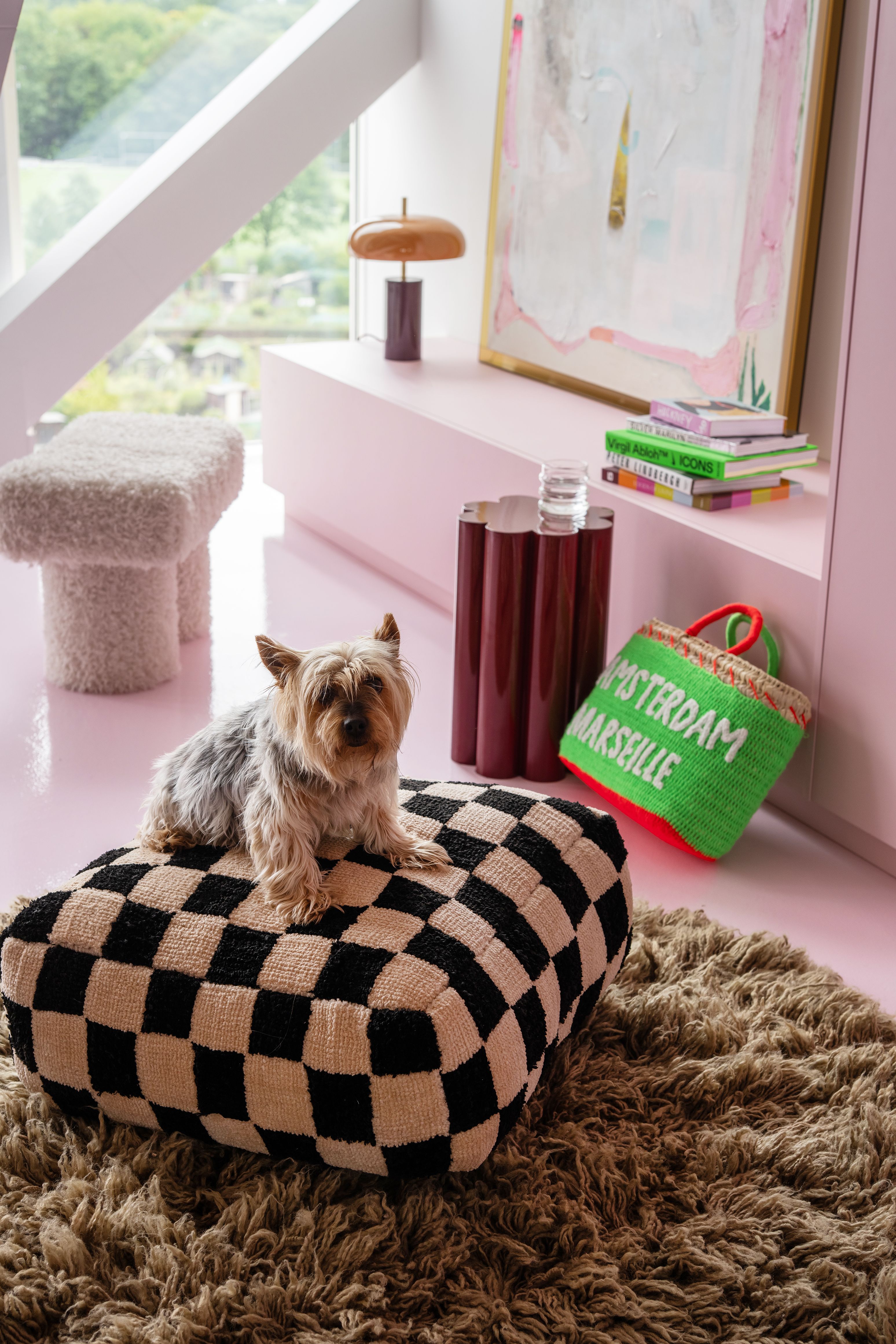 hond zit op zwart witte poef