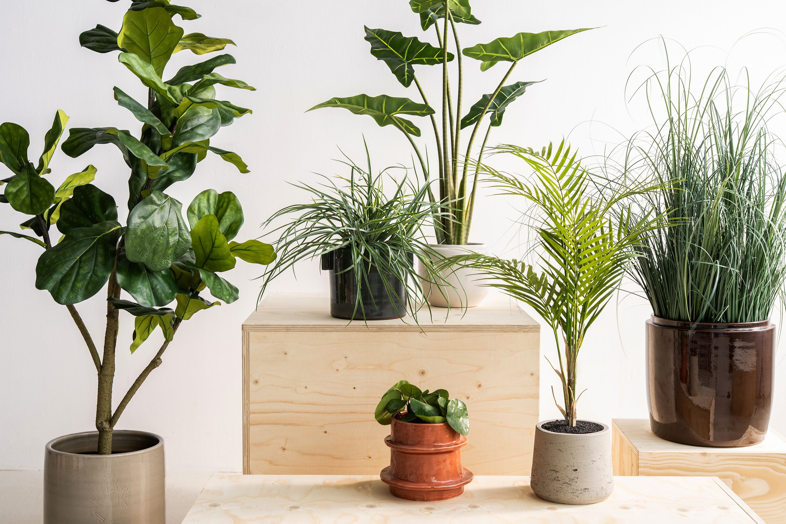 Loods 5 assortiment kunstplanten