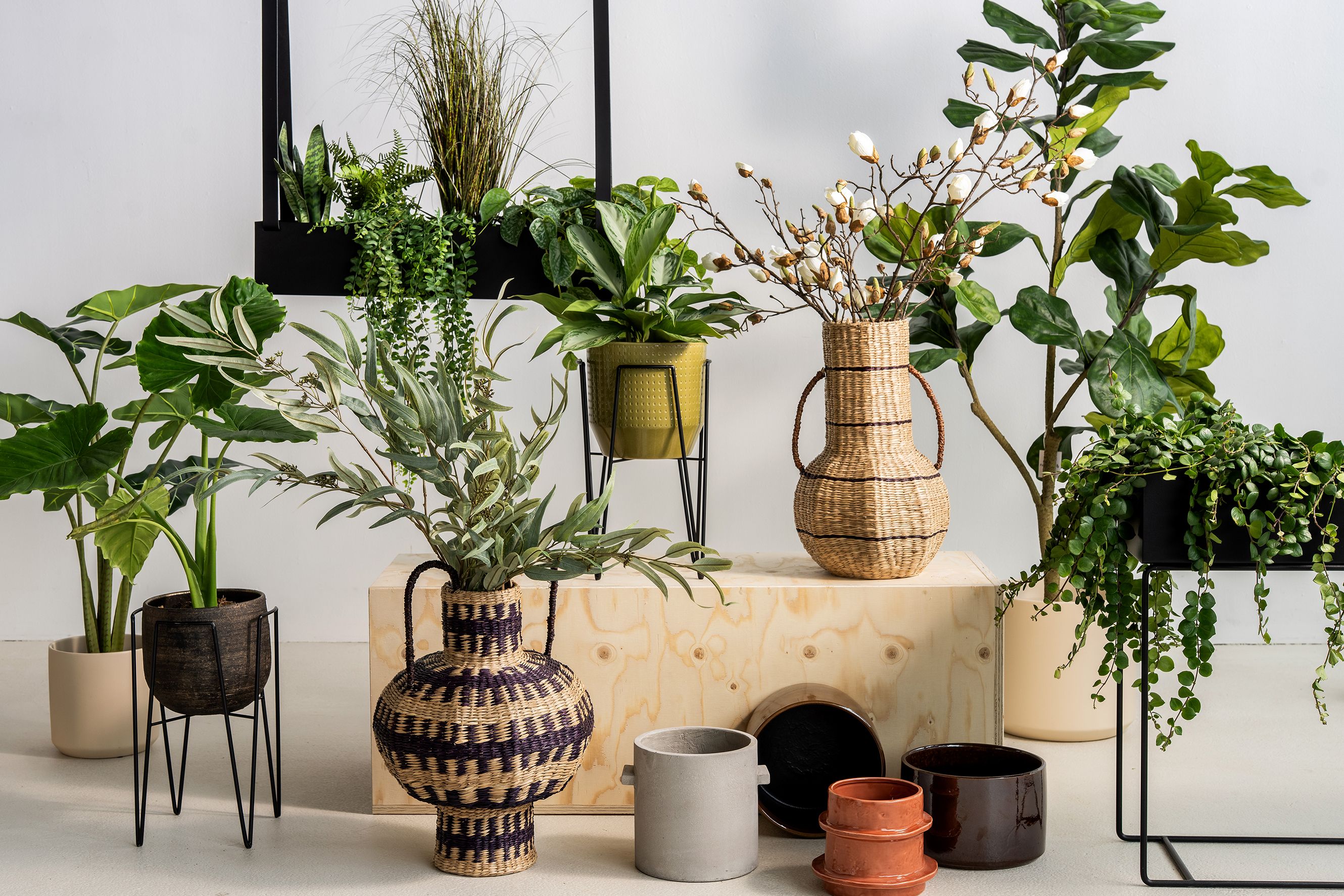 Loods 5 assortiment planten en bloemen