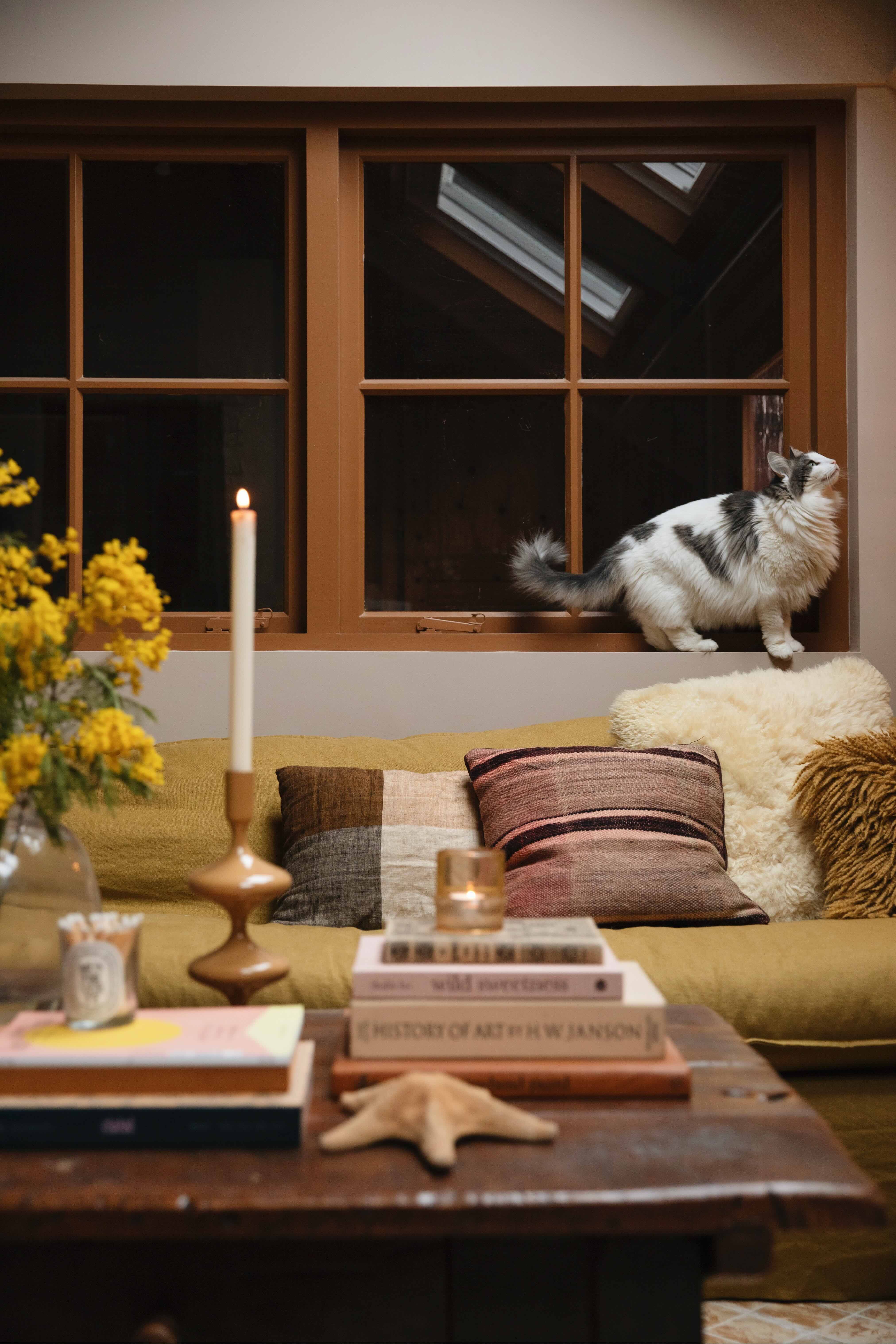 Nina Nijland studio met kat in vensterbank