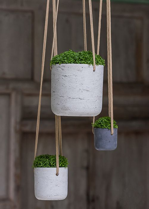Pottery-Pots hangende planten in pot
