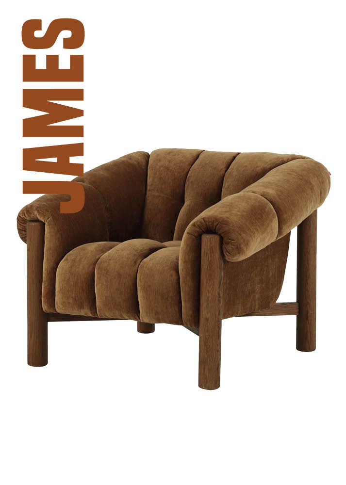 Bruine velvet fauteuil james van Loods 5
