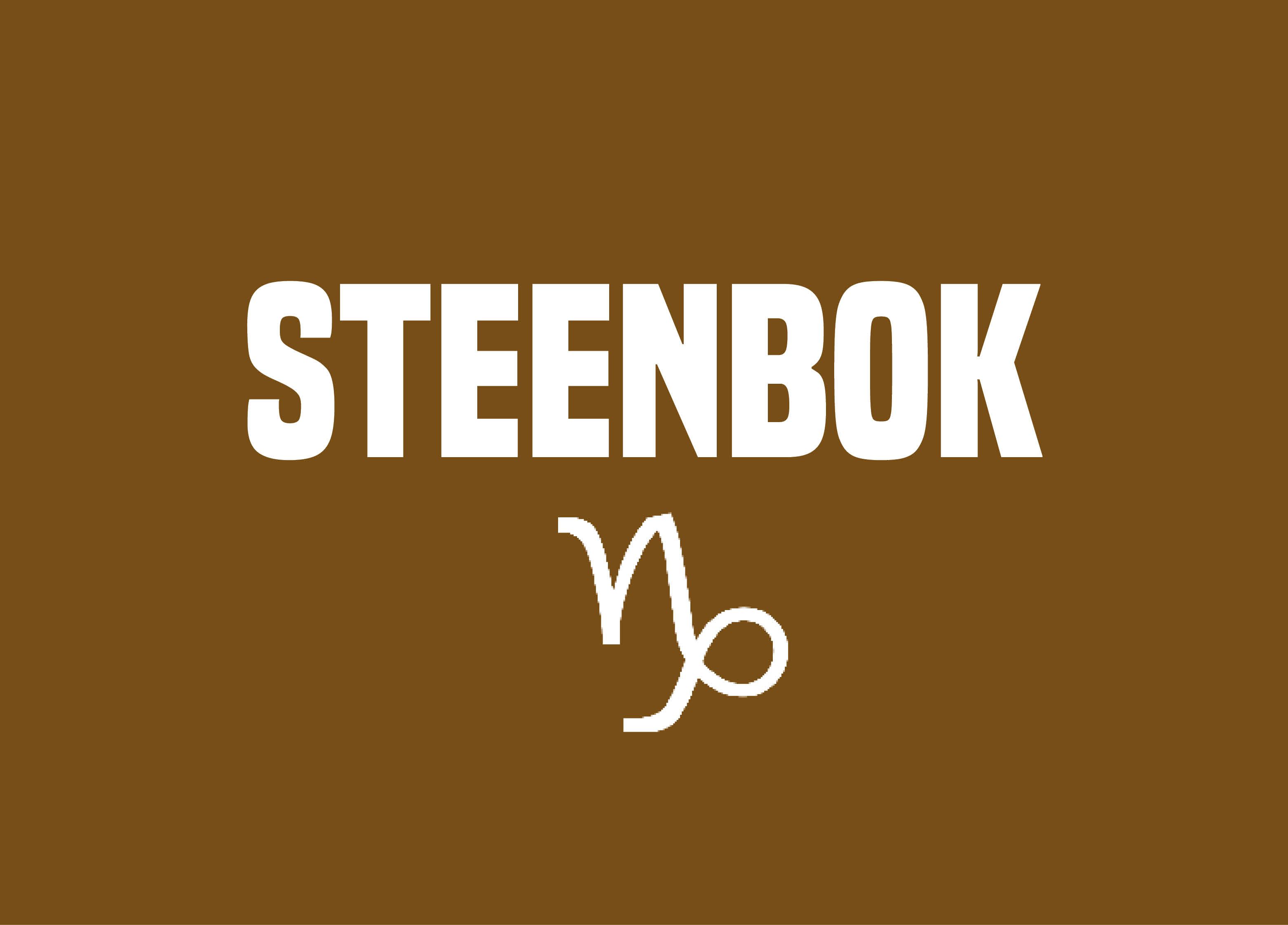 Banner jaarhoroscoop Steenbok