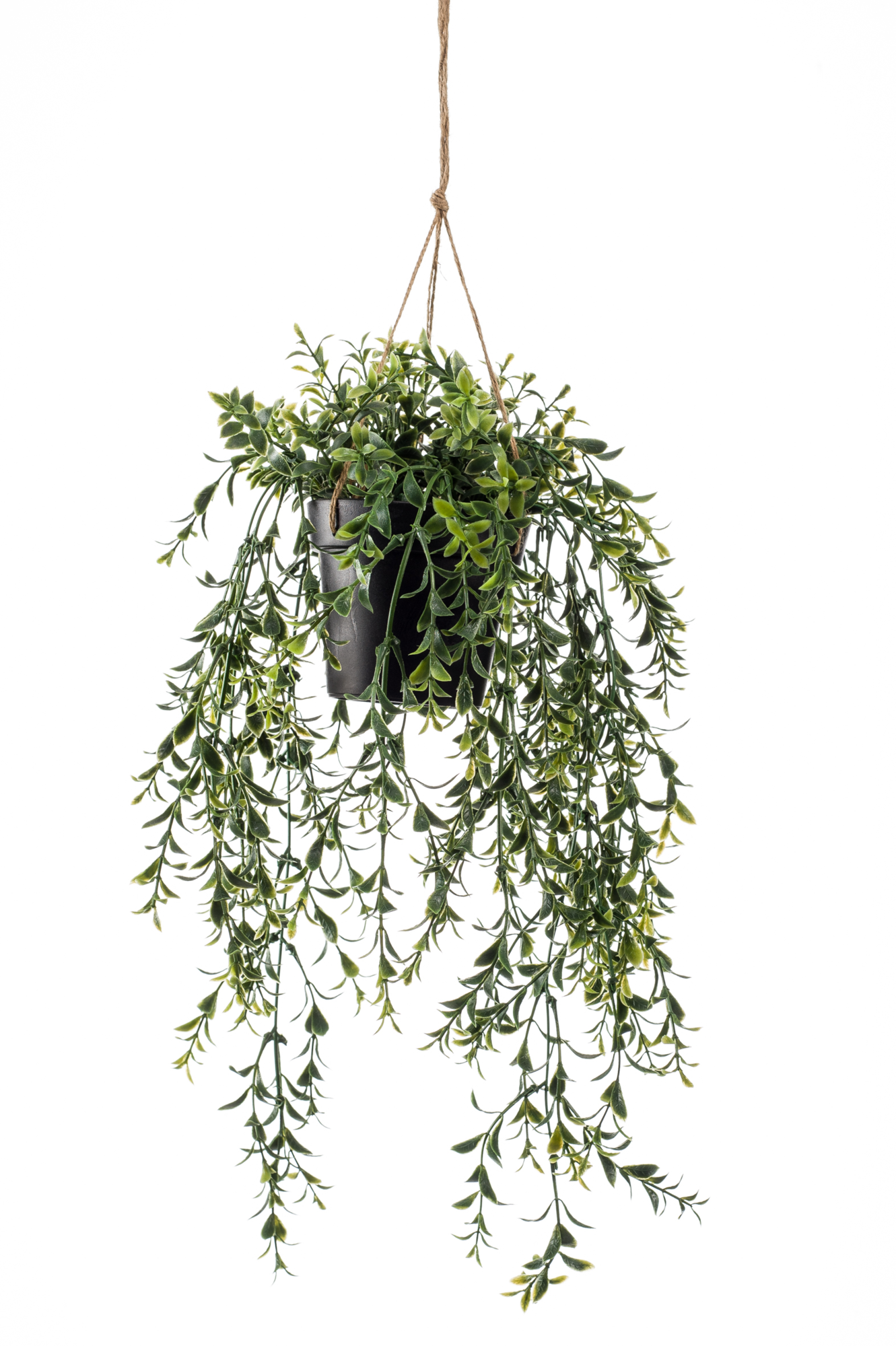 Kunst hangplant
