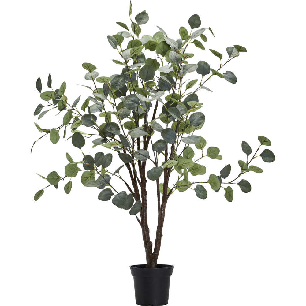 Kunstplant Eucalyptus
