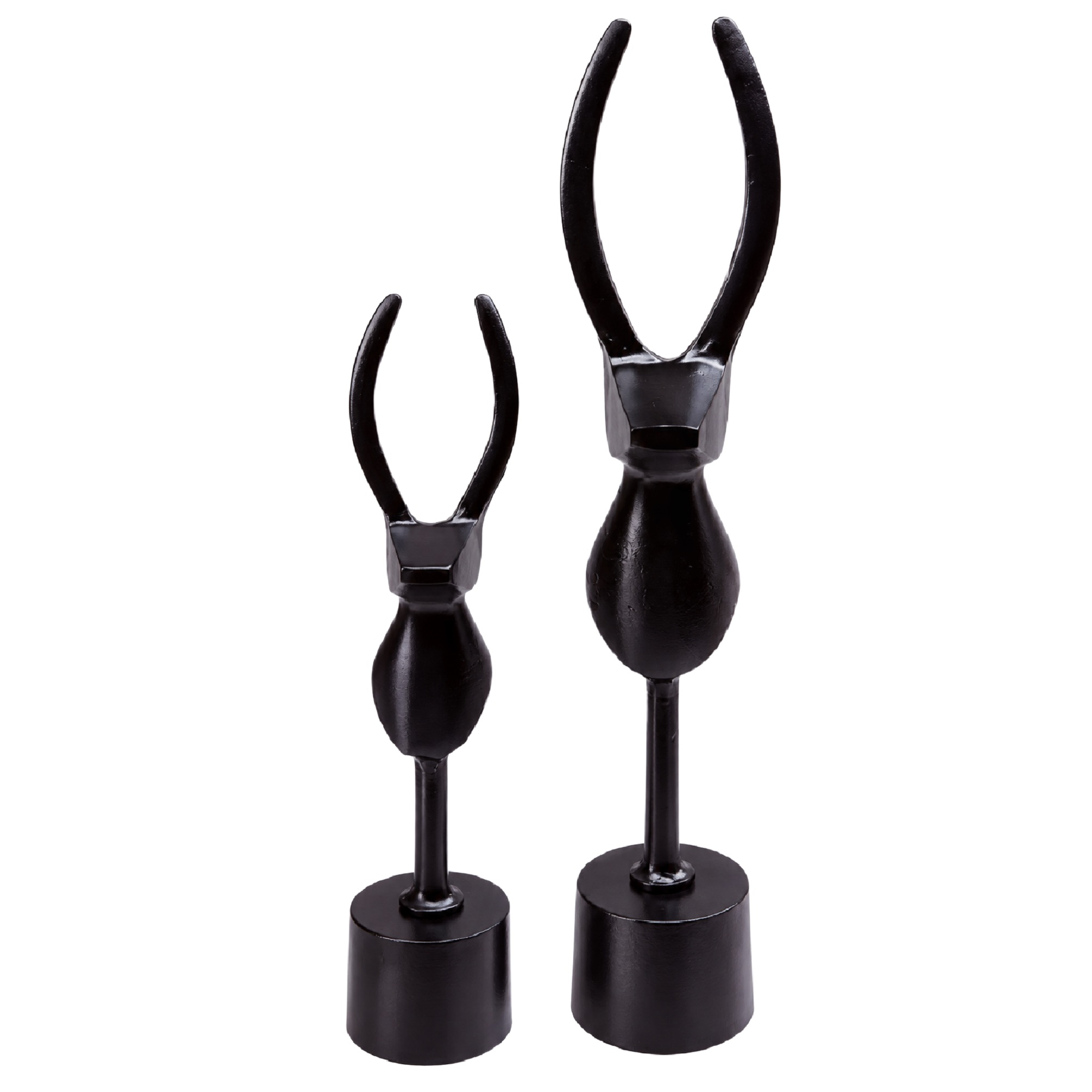 Palpa black
