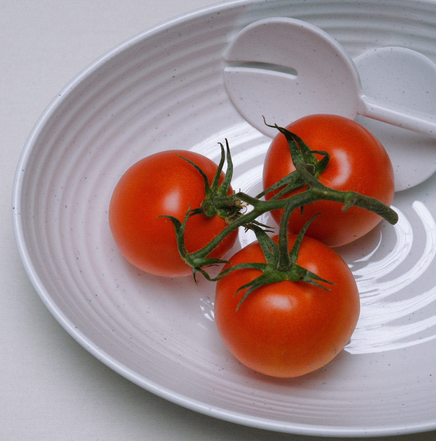Flamefield Granite Pearl saladeschaal met bestek