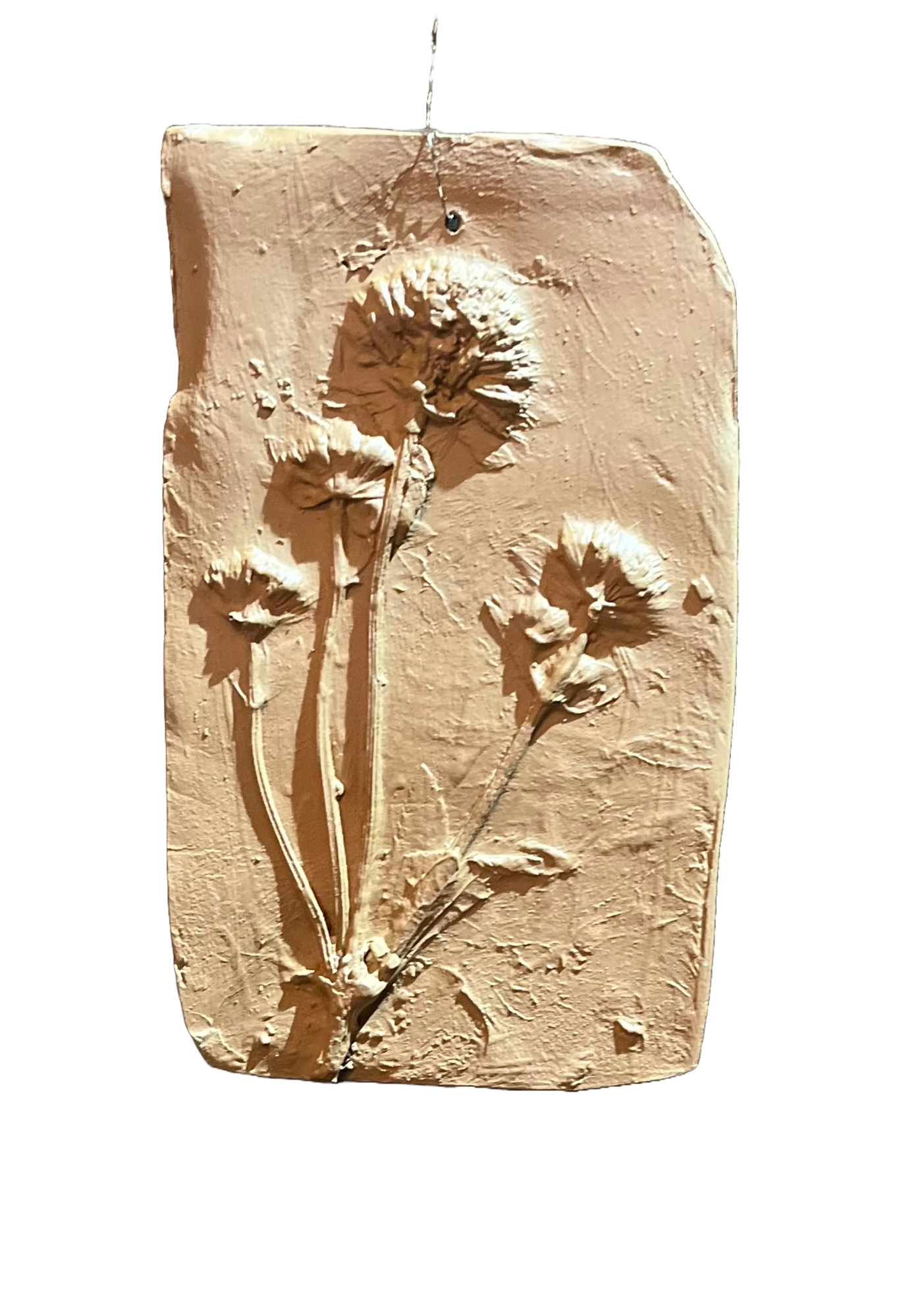 Wanddecoratie botanisch