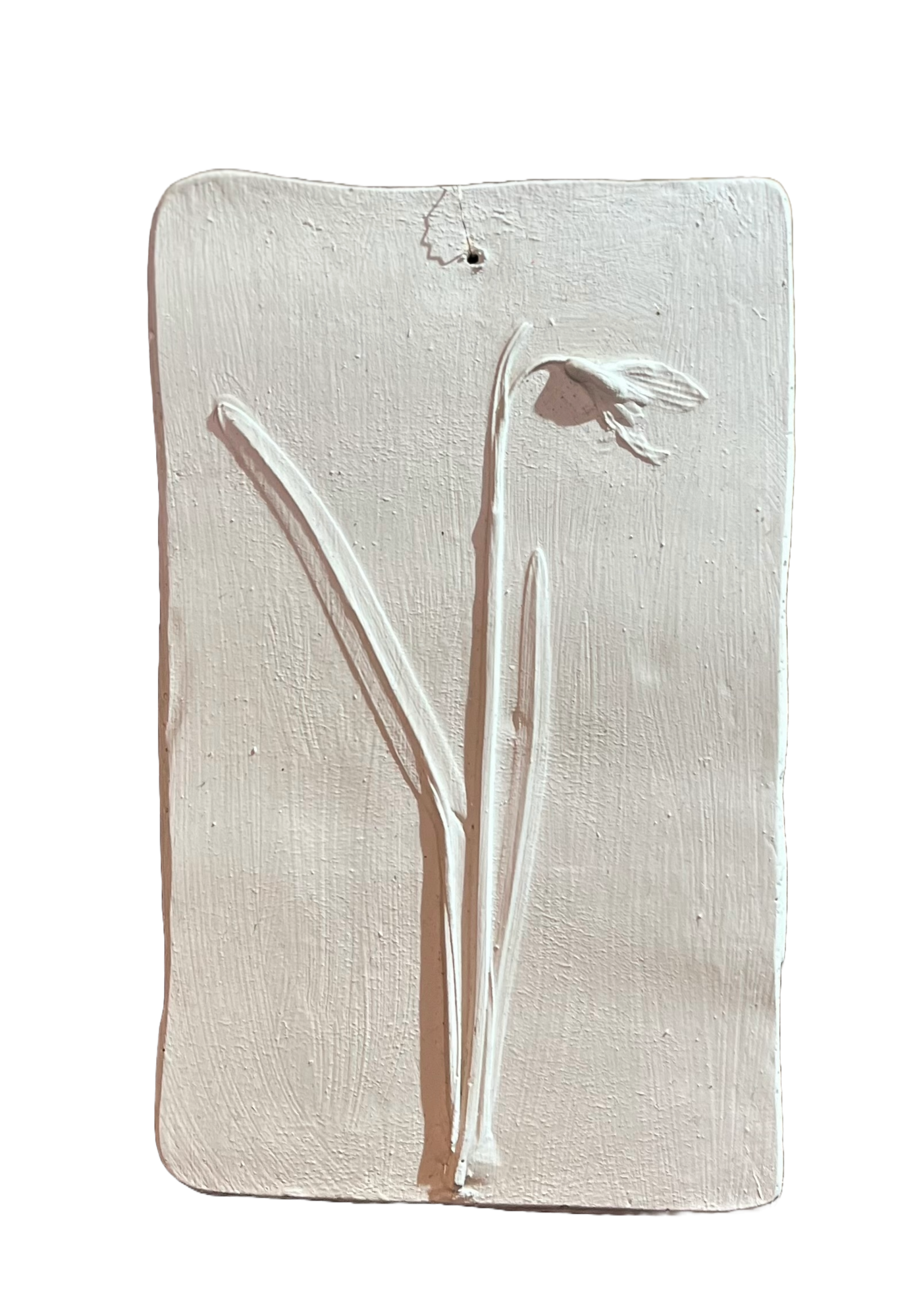 Wanddecoratie botanisch