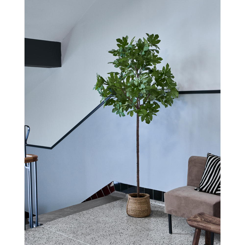 Kunstplant Vijg