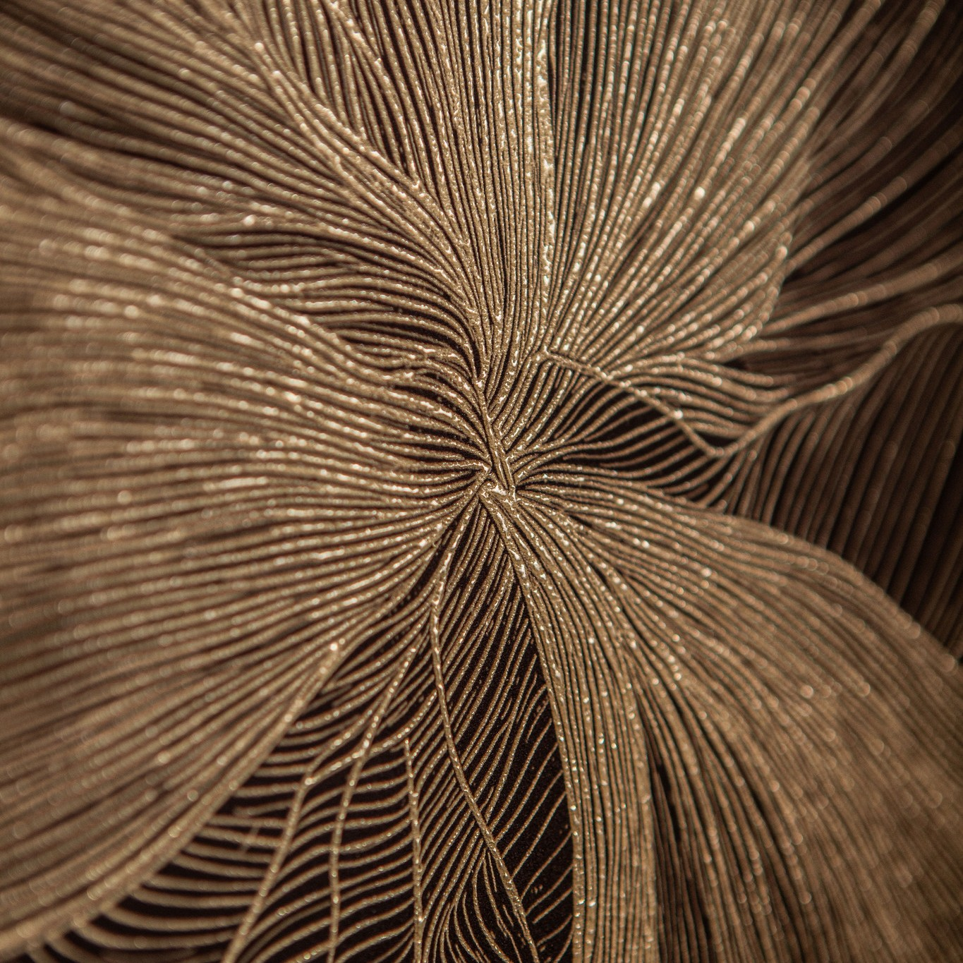 Canvas Flora