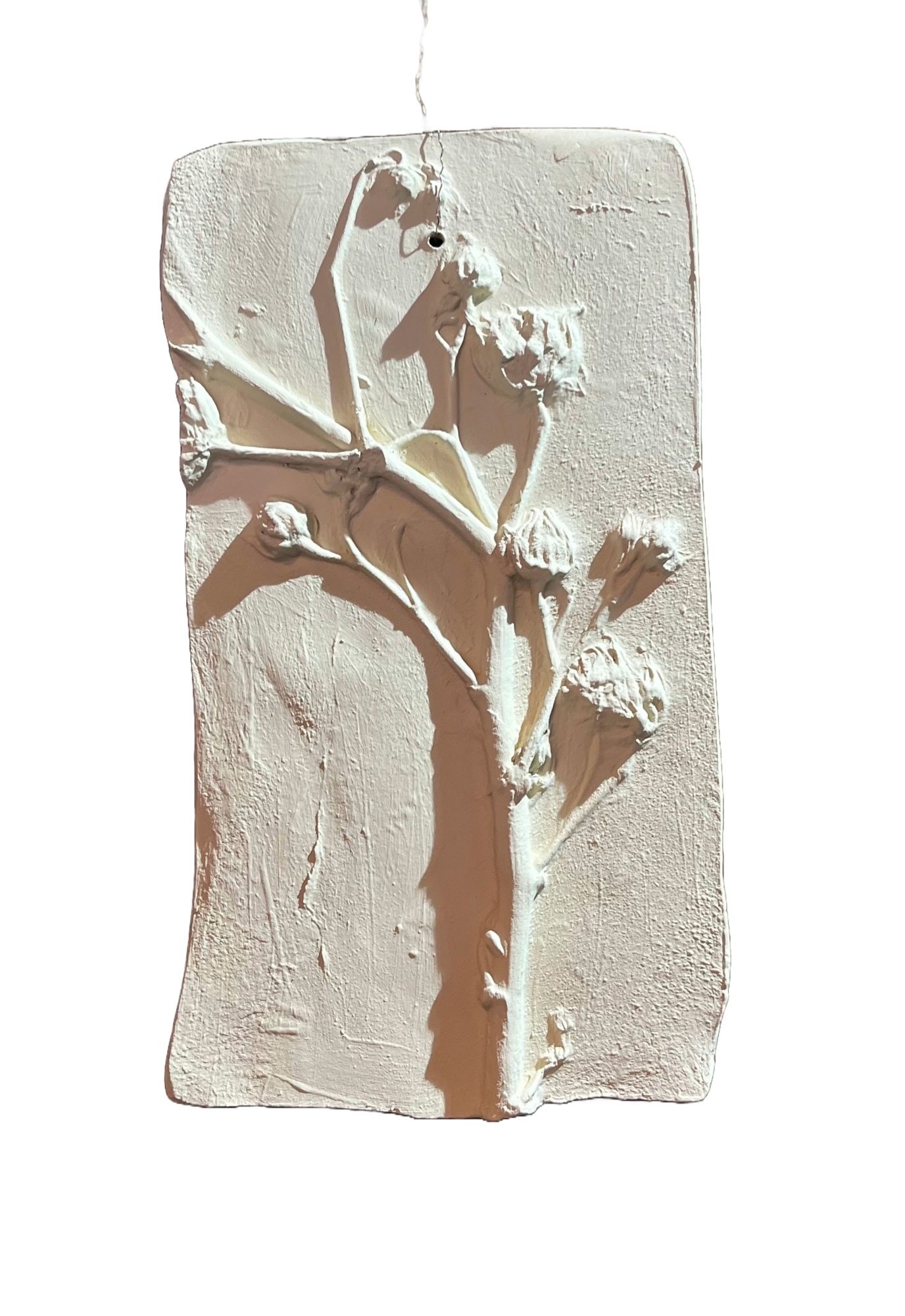 Wanddecoratie botanisch