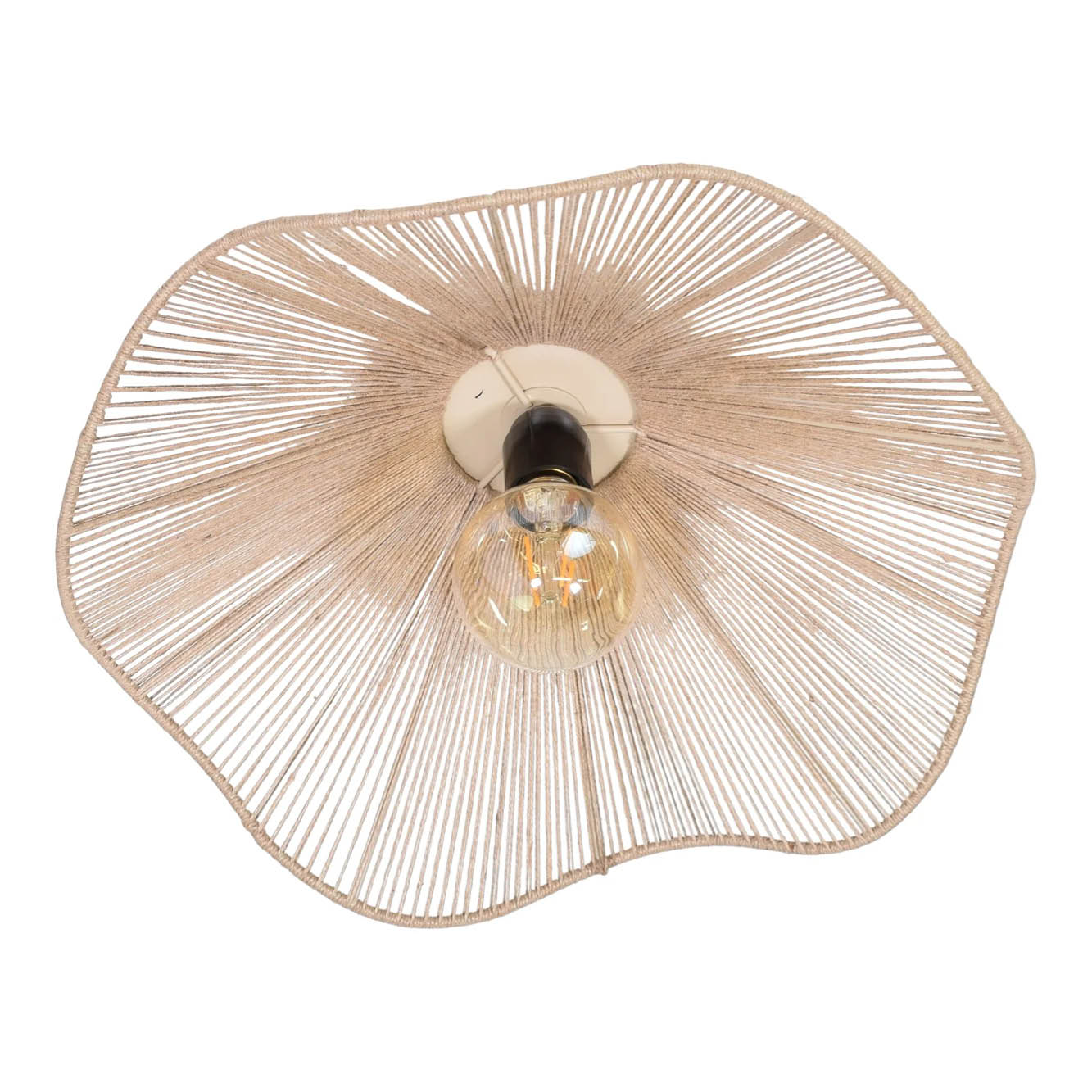 Max Bloem Plafondlamp