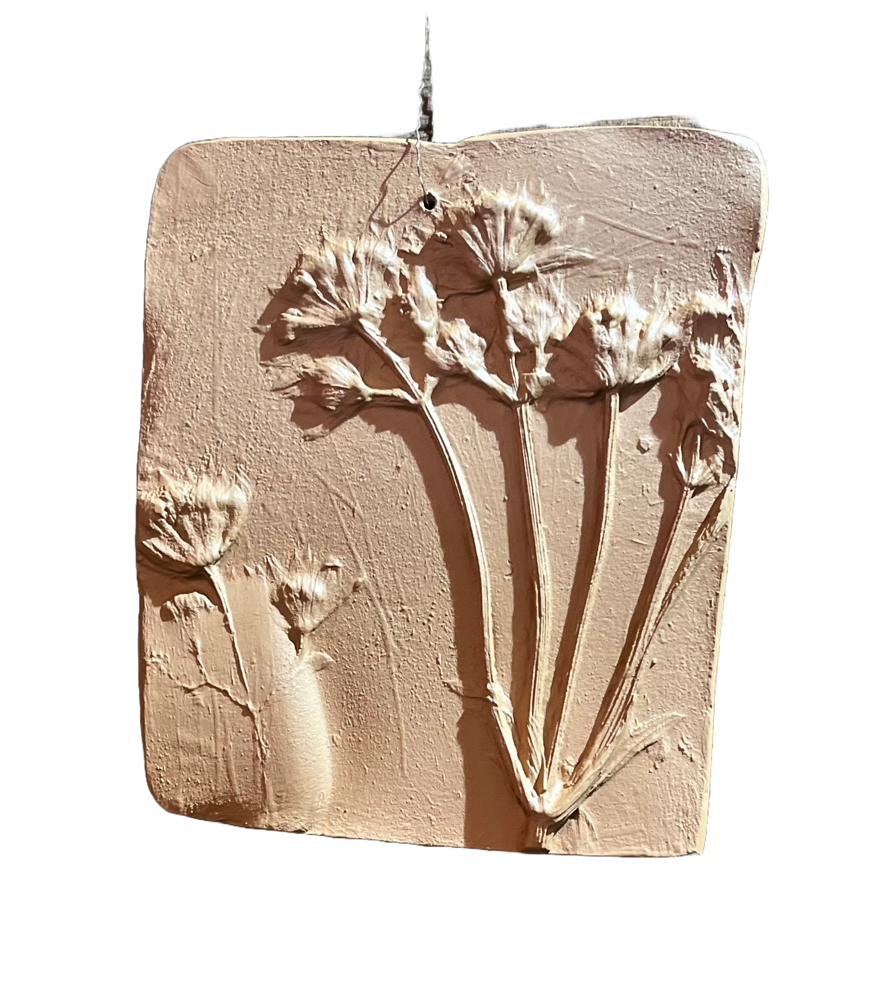 Wanddecoratie botanisch