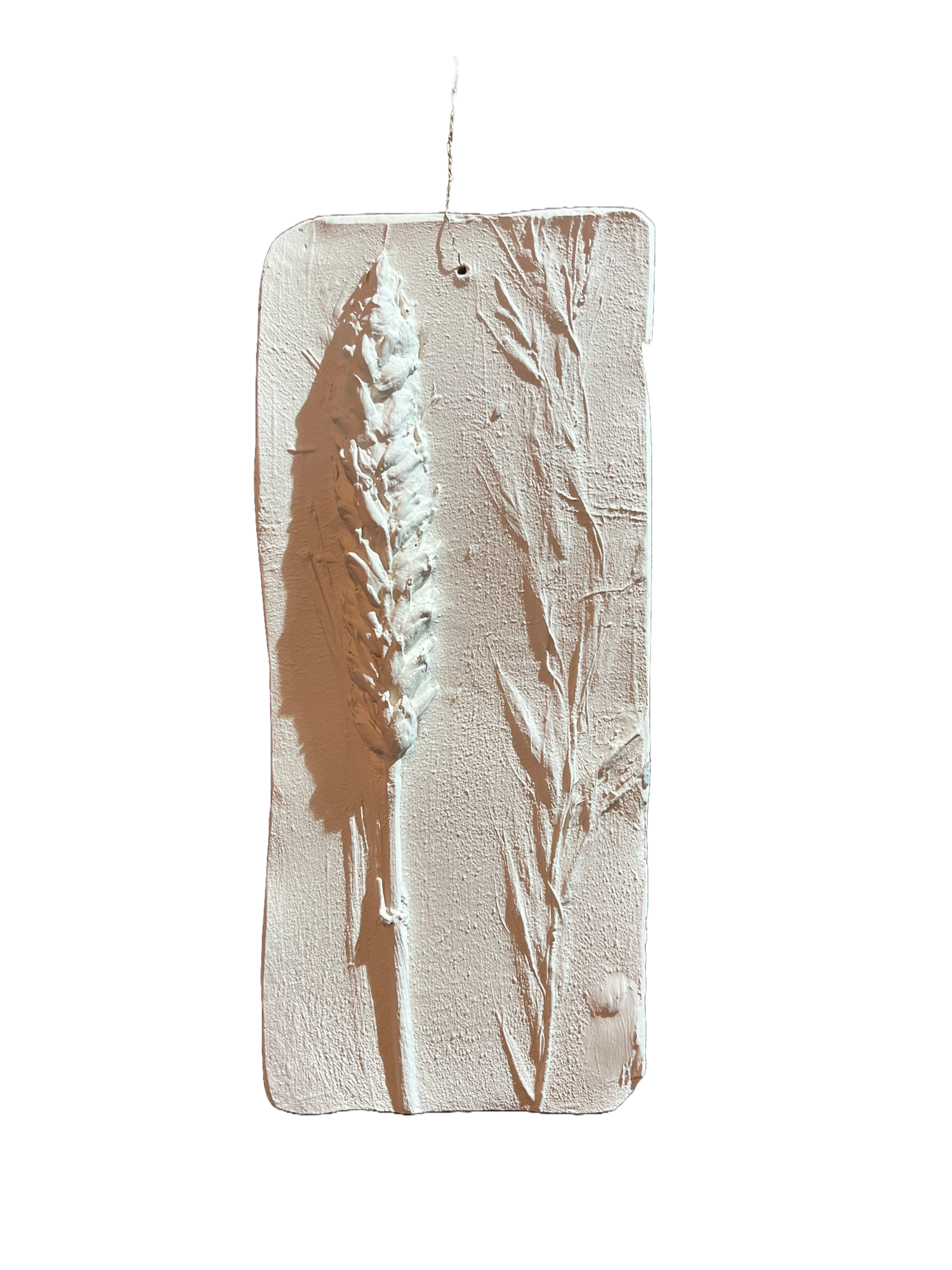 Wanddecoratie botanisch