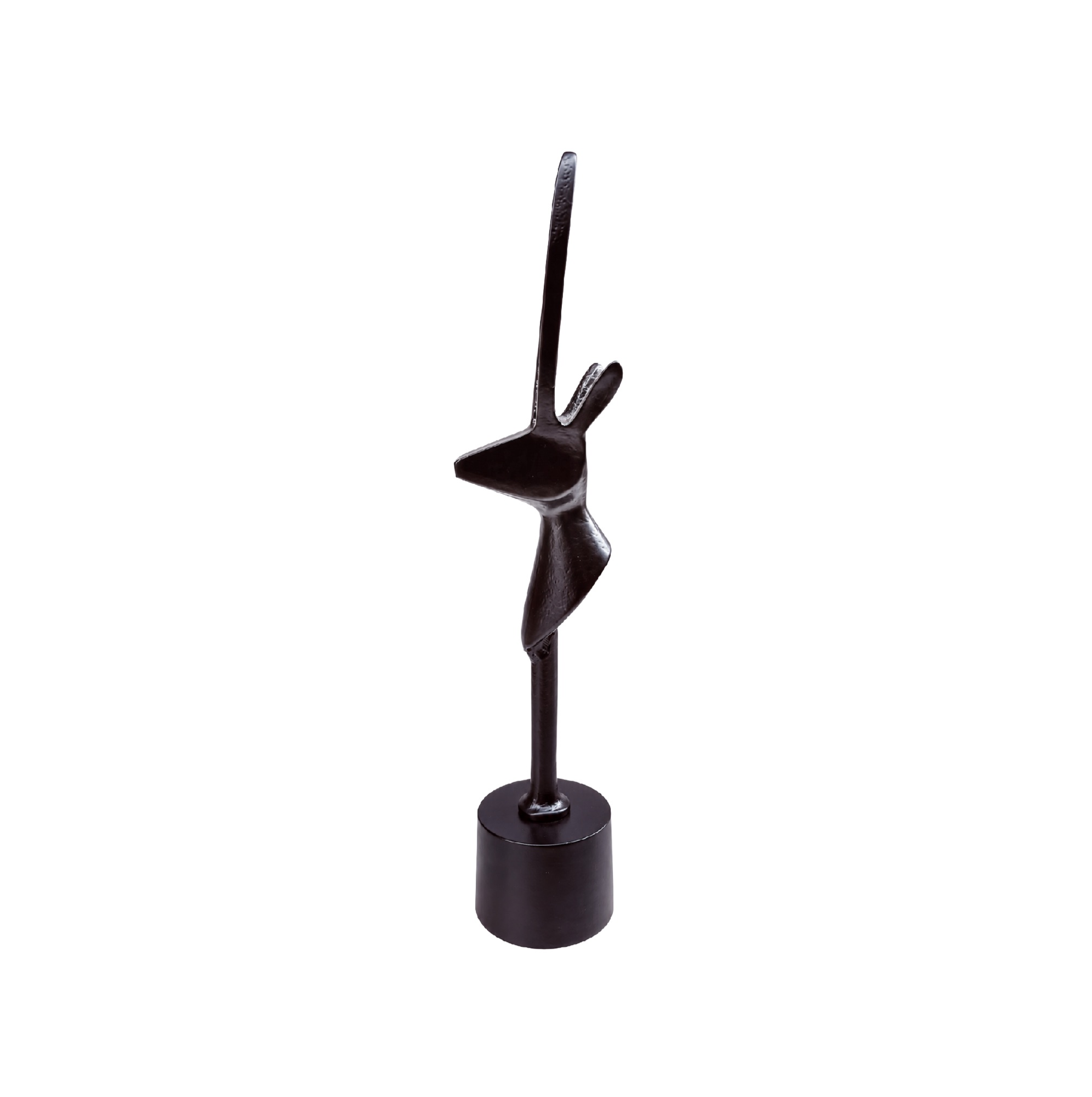 Palpa black