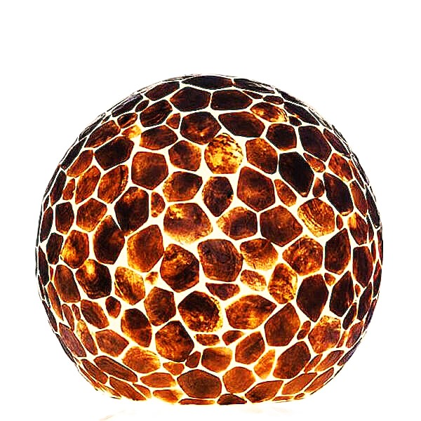 Tafellamp Bol Turtle gold capiz 