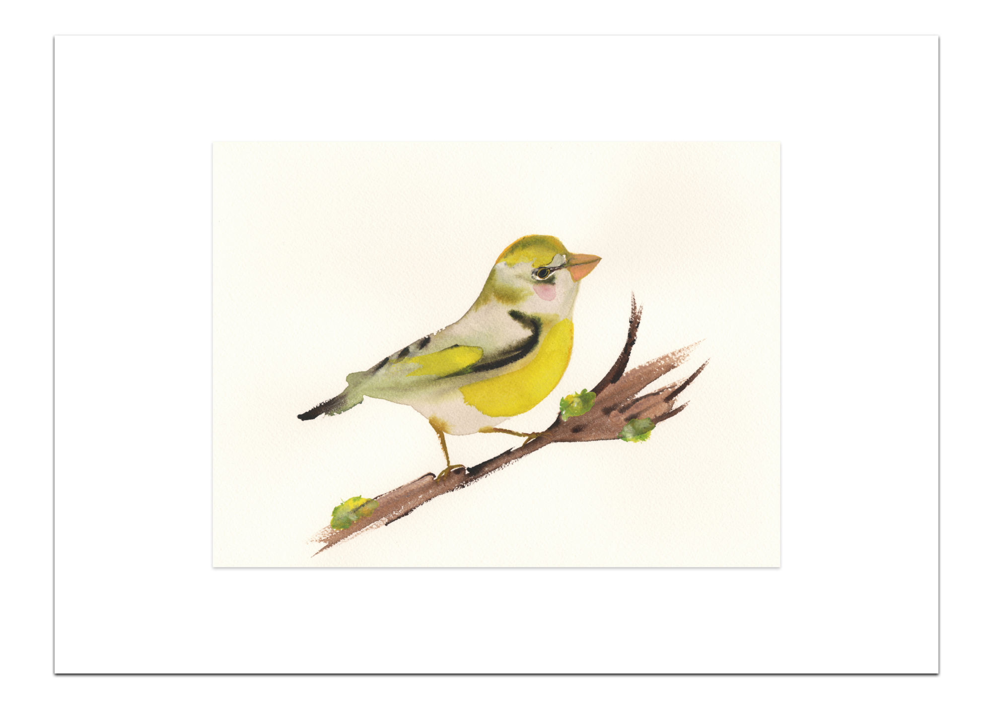 Print Groenling