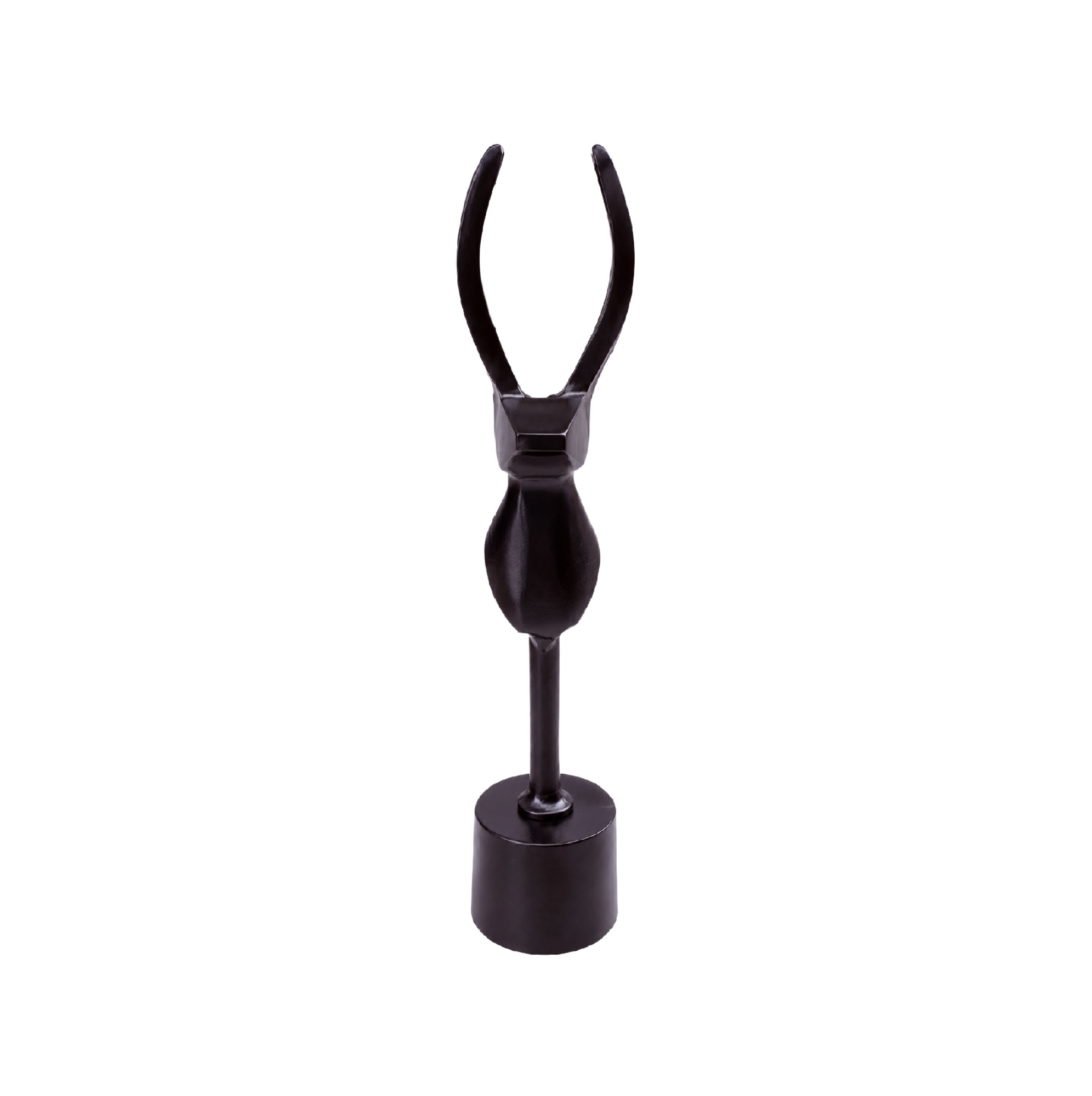 Palpa black