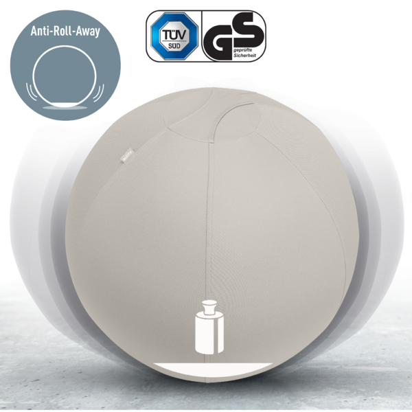Actieve Zitbal Leitz Ergo 65 cm