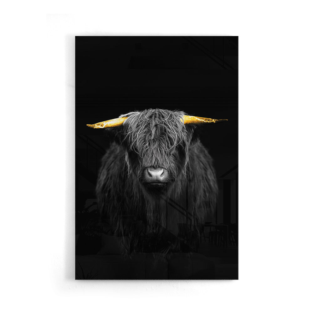 Walljar acrylglas schilderij - Gold Ox Horns