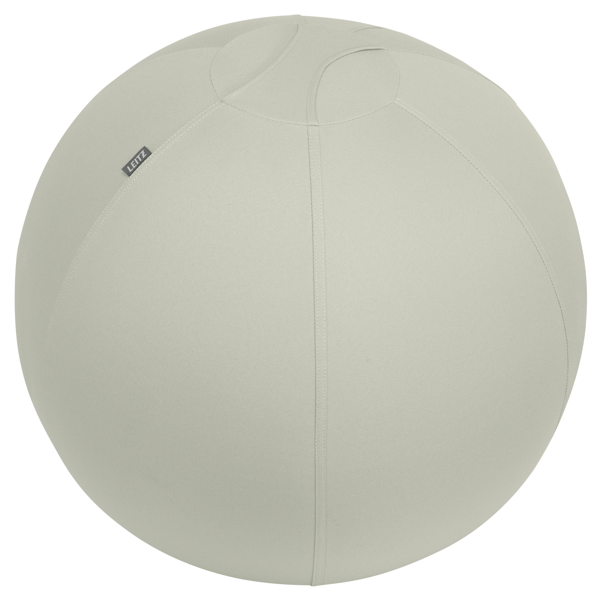 Actieve Zitbal Leitz Ergo 65 cm
