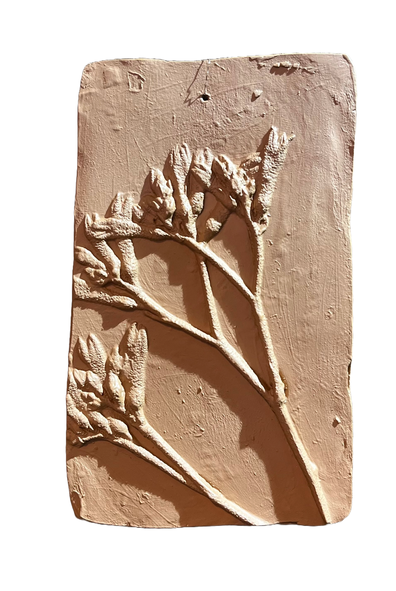 Wanddecoratie botanisch
