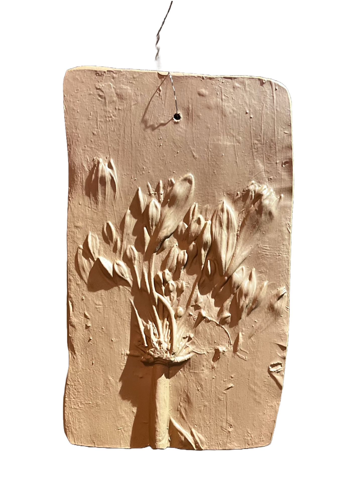 Wanddecoratie botanisch