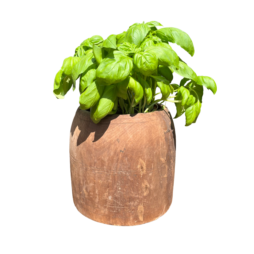 Oude houten pot uniek item
