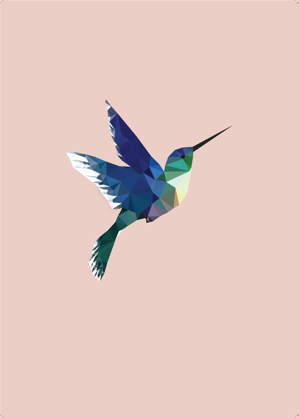 Poster Kolibrie by NA Design
