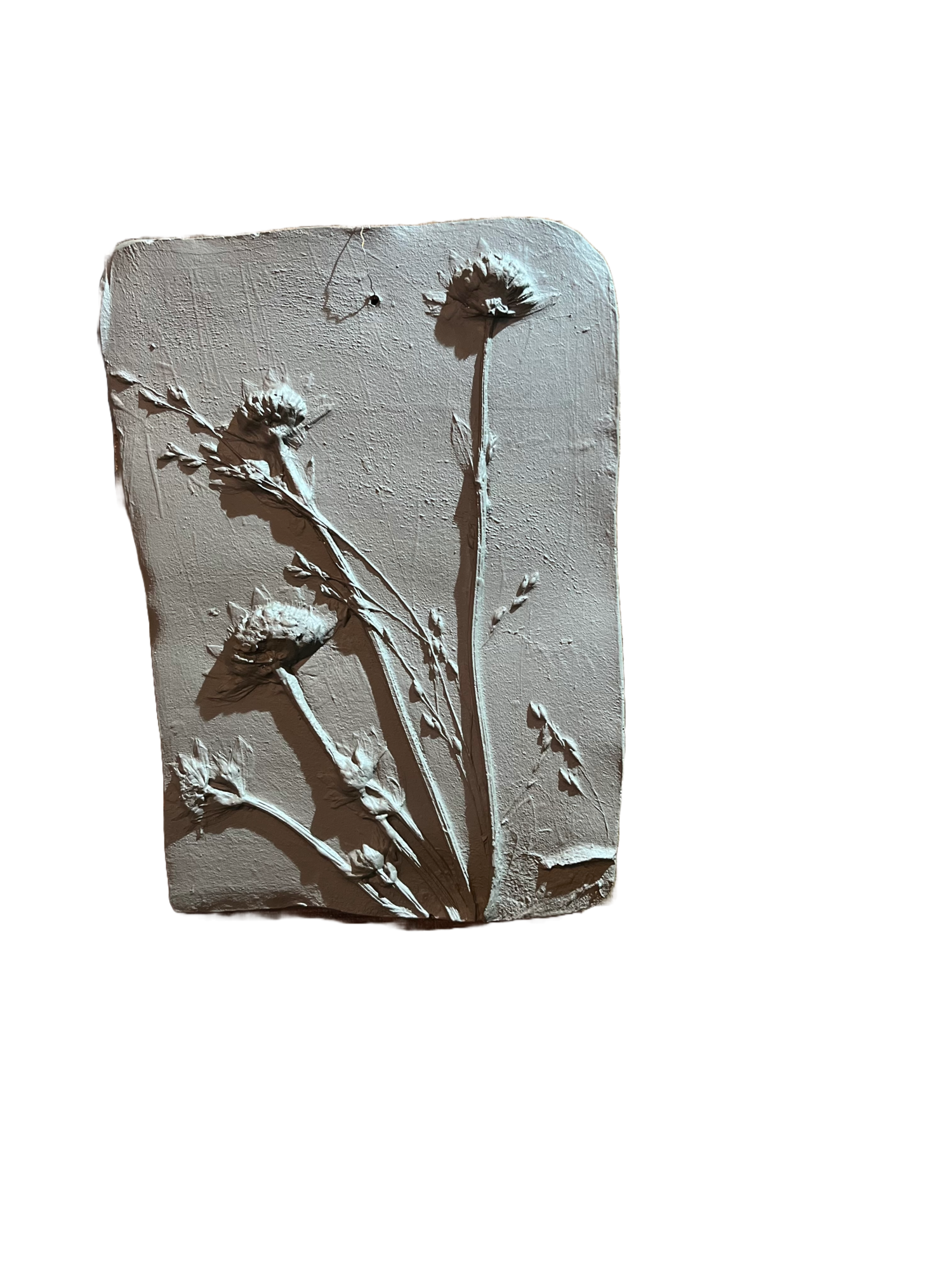 Wanddecoratie botanisch