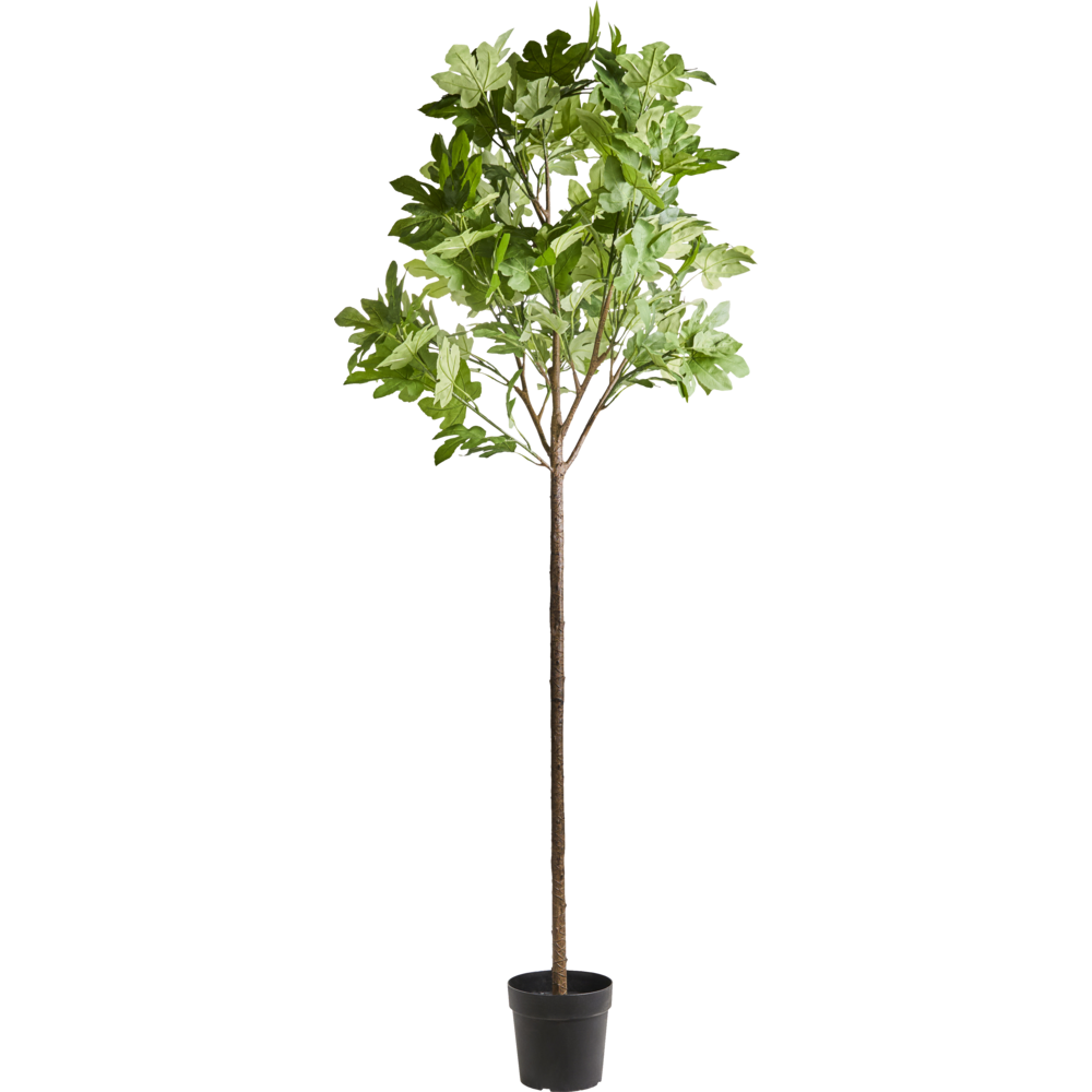 Kunstplant Vijg