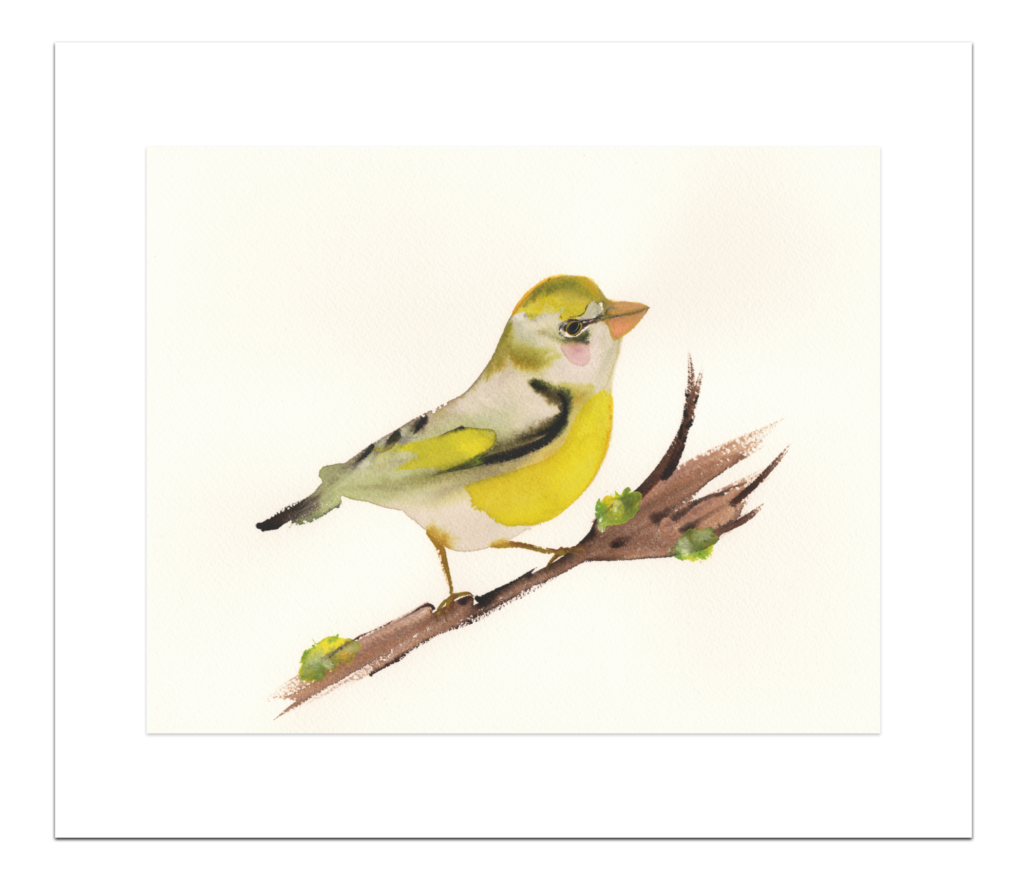 Print Groenling